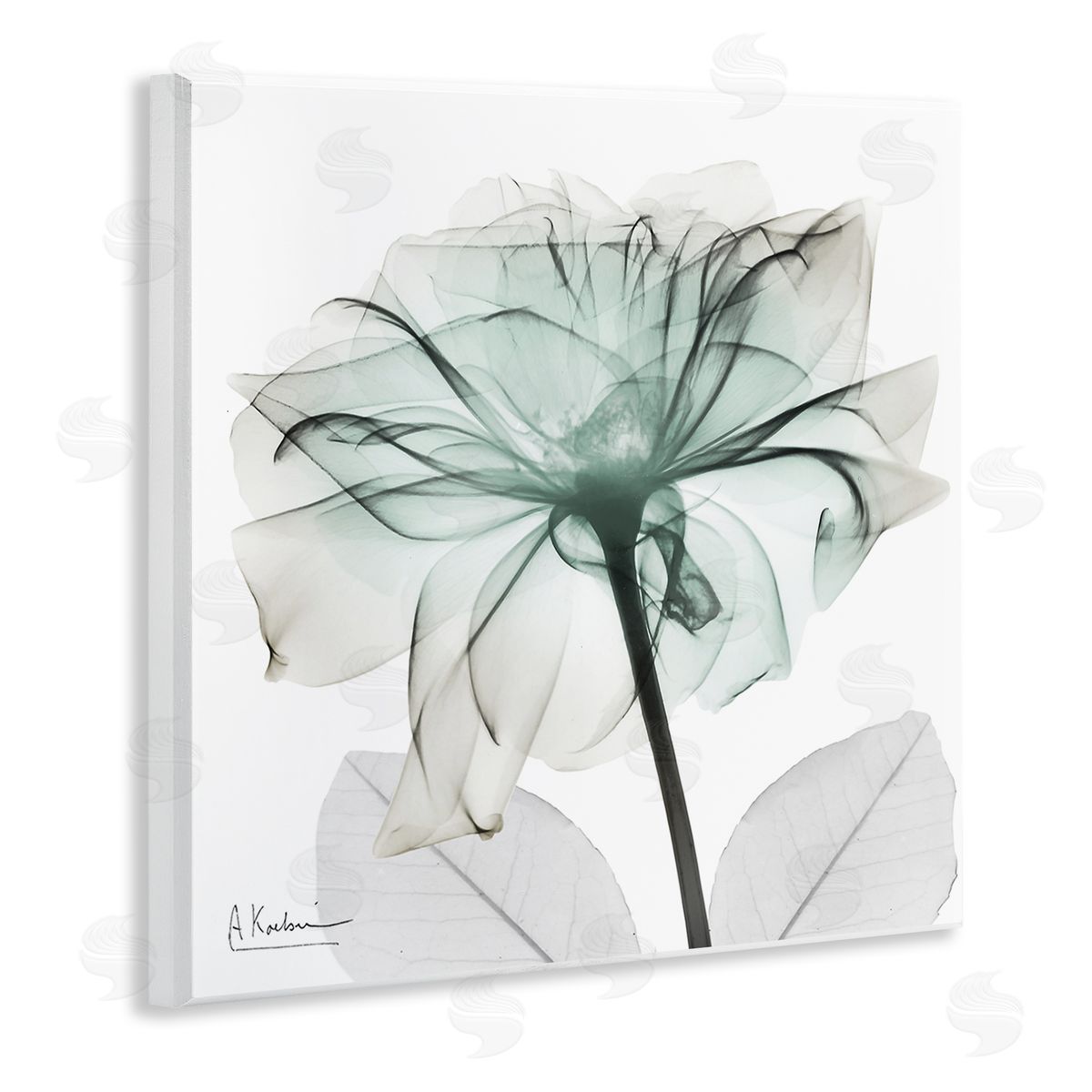 Unique Chic Flower Petal Wood Plaque Wall Art, Home Decor by Albert Koetsier