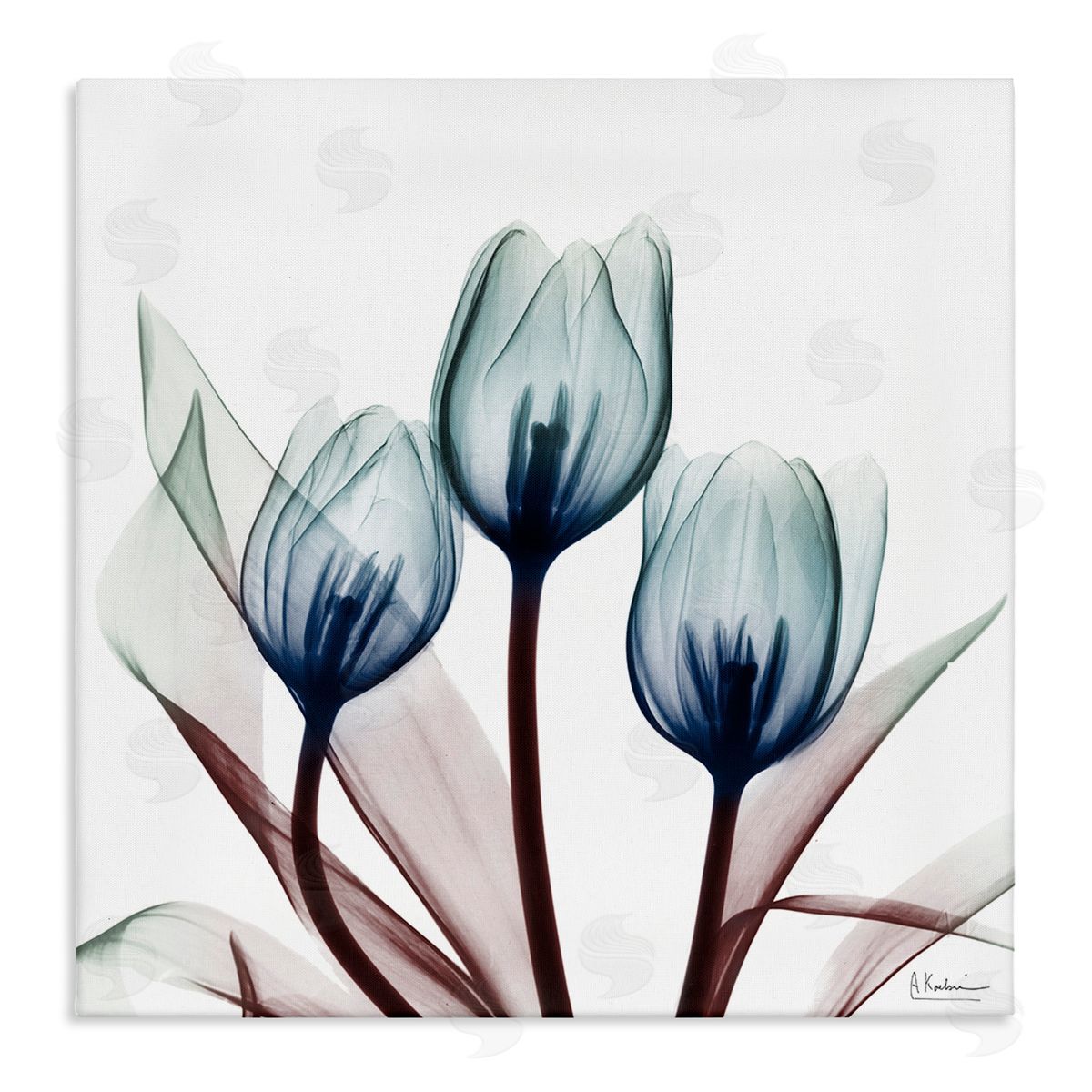 Chic Blue Translucent Tulips Canvas Wall Art, Home Decor by Albert Koetsier