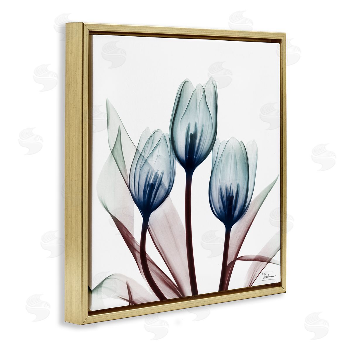 Chic Blue Translucent Tulips Gold Floating Frame Canvas Wall Art, Home Decor by Albert Koetsier