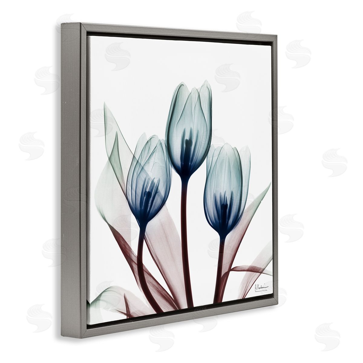 Chic Blue Translucent Tulips Grey Floating Frame Canvas Wall Art, Home Decor by Albert Koetsier