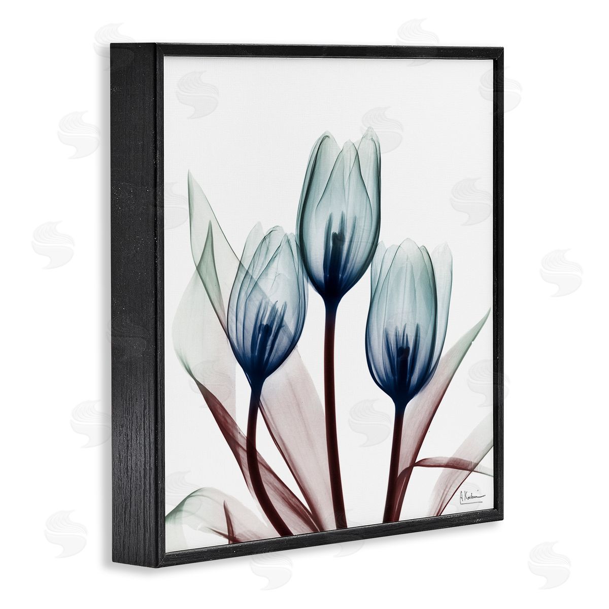 Chic Blue Translucent Tulips Black Frame Print Wall Art, Home Decor by Albert Koetsier