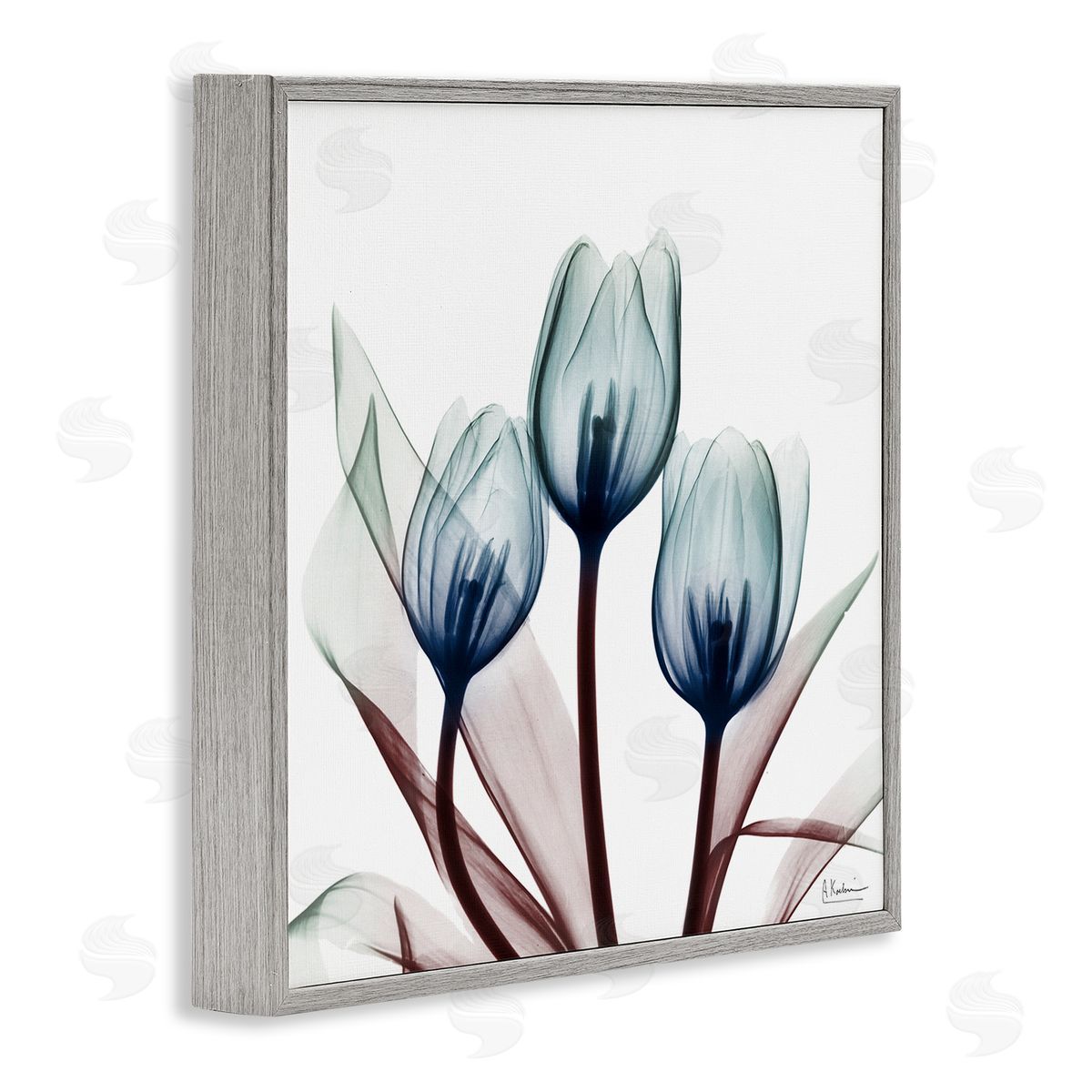 Chic Blue Translucent Tulips Grey Frame Print Wall Art, Home Decor by Albert Koetsier