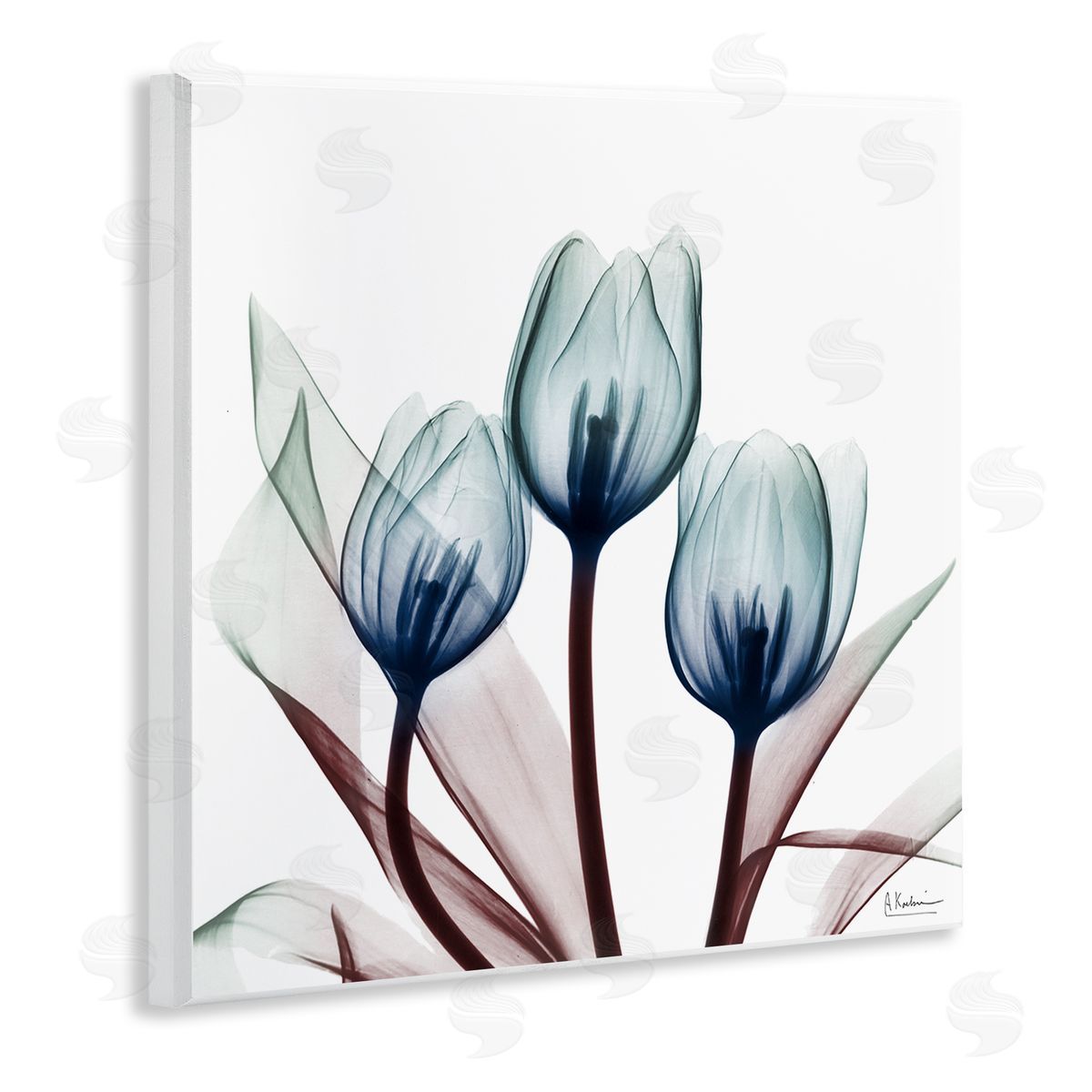 Chic Blue Translucent Tulips Wood Plaque Wall Art, Home Decor by Albert Koetsier