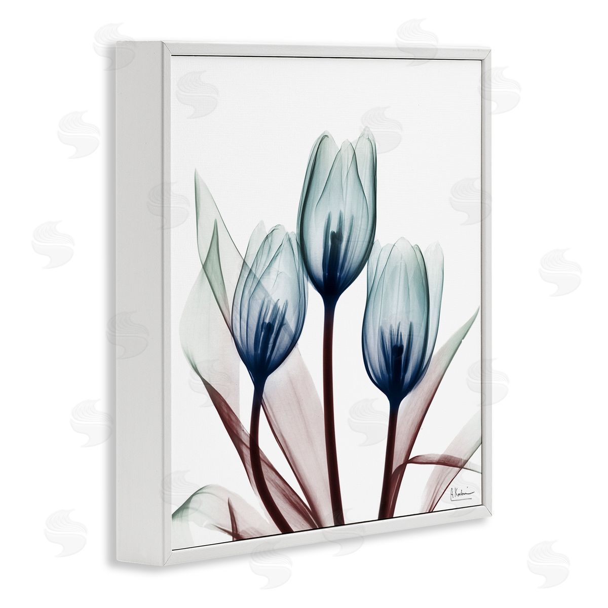 Chic Blue Translucent Tulips White Frame Print Wall Art, Home Decor by Albert Koetsier