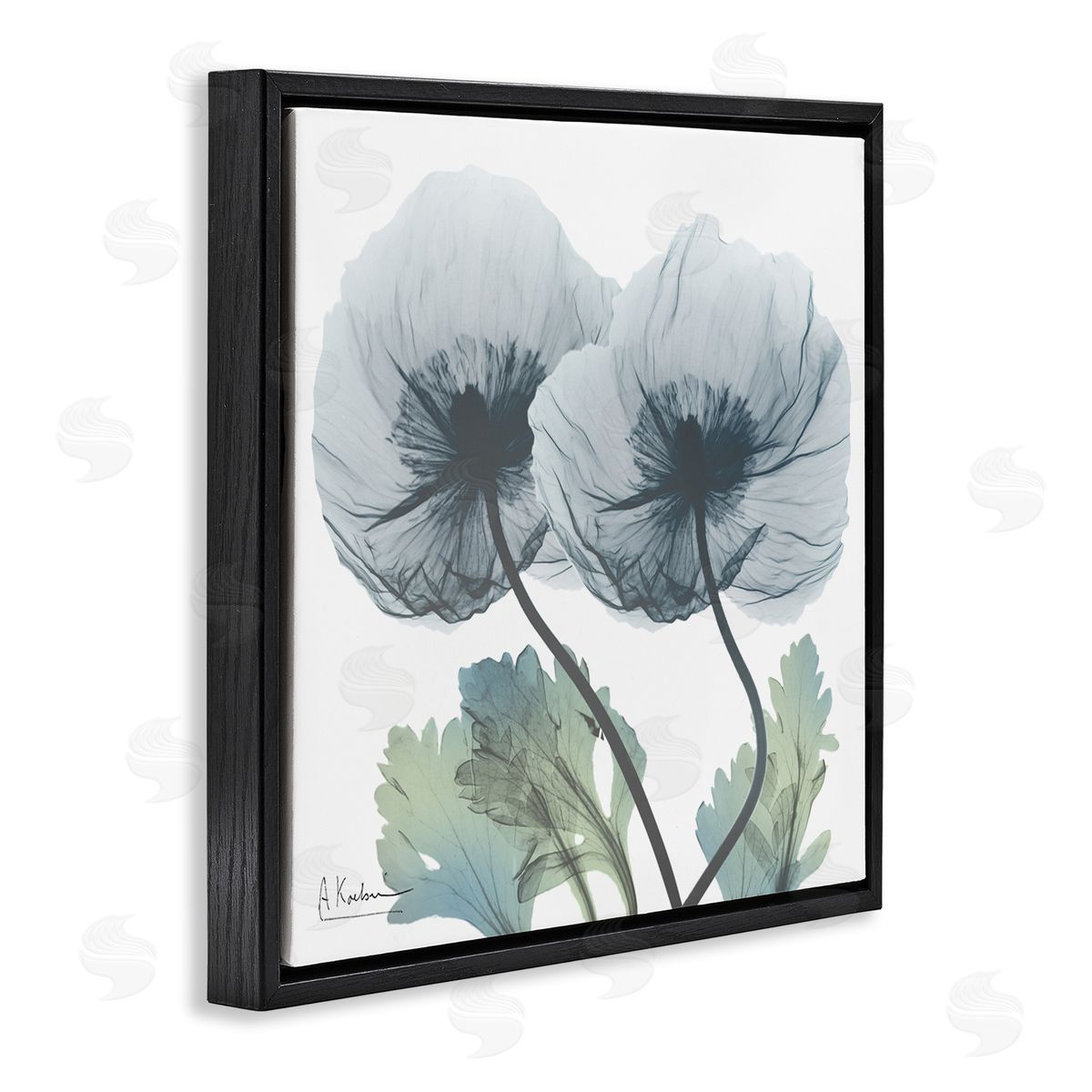 Double Modern Flower Blossoms Black Floating Frame Canvas Wall Art, Home Decor by Albert Koetsier