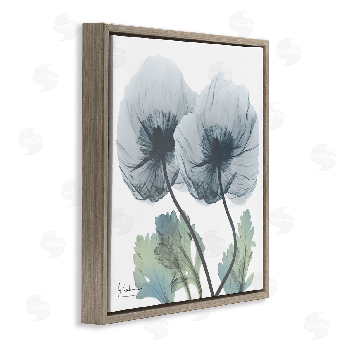Double Modern Flower Blossoms Brown Floating Frame Canvas Wall Art, Home Decor by Albert Koetsier