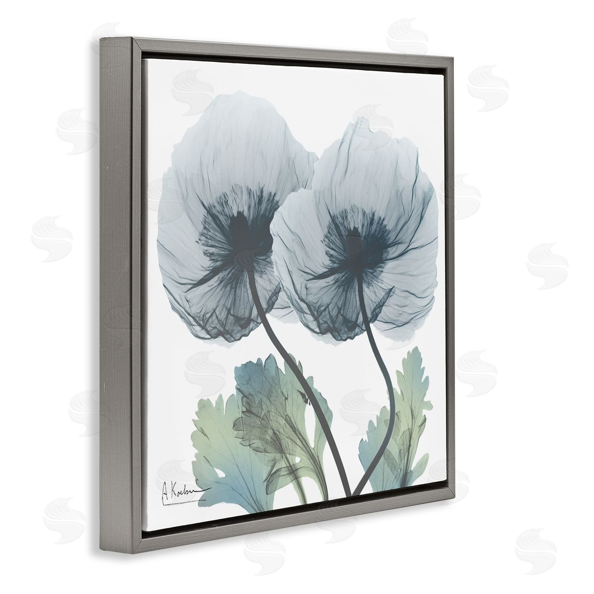 Double Modern Flower Blossoms Grey Floating Frame Canvas Wall Art, Home Decor by Albert Koetsier