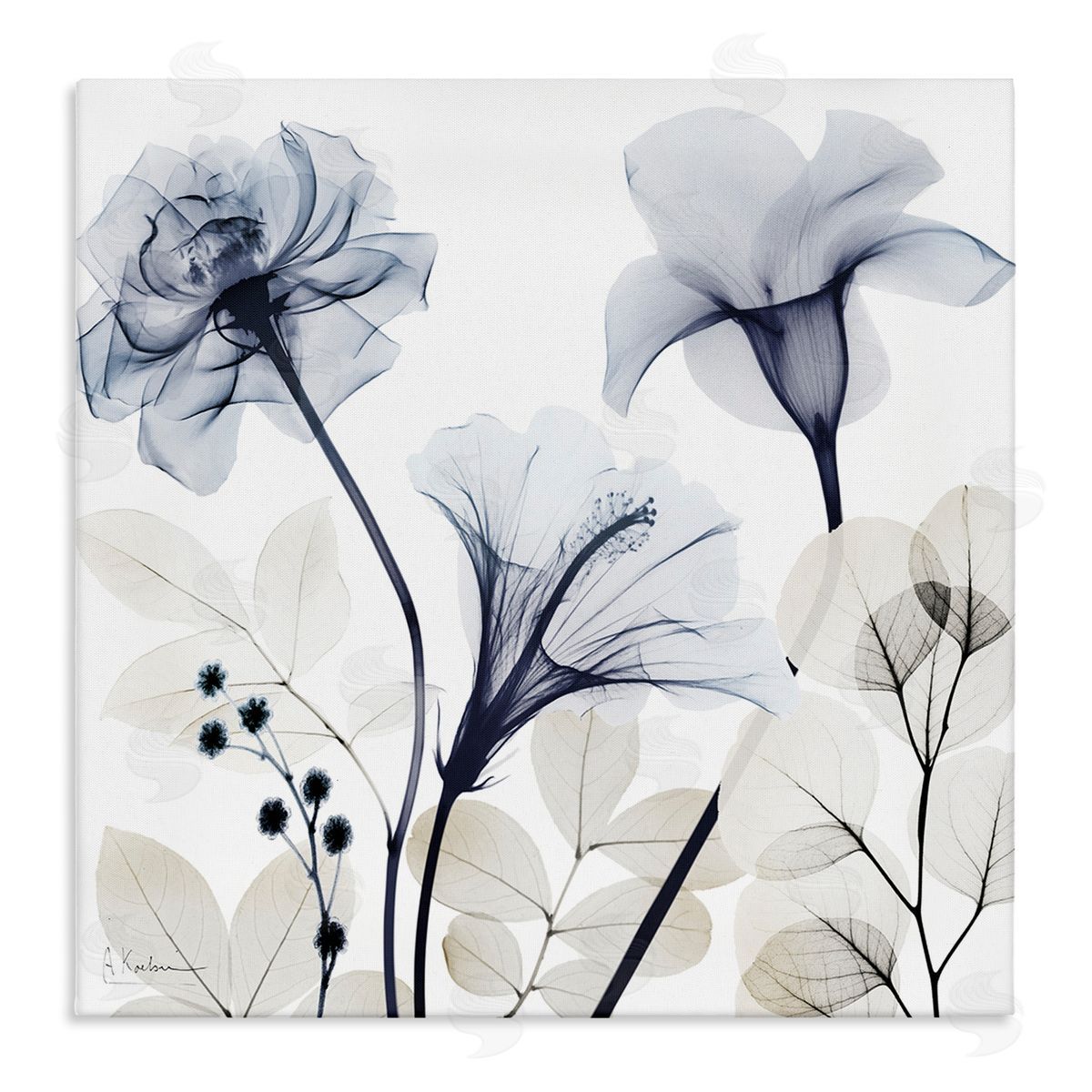 Sophisticated Minimal Flowers Canvas Wall Art, Home Decor by Albert Koetsier