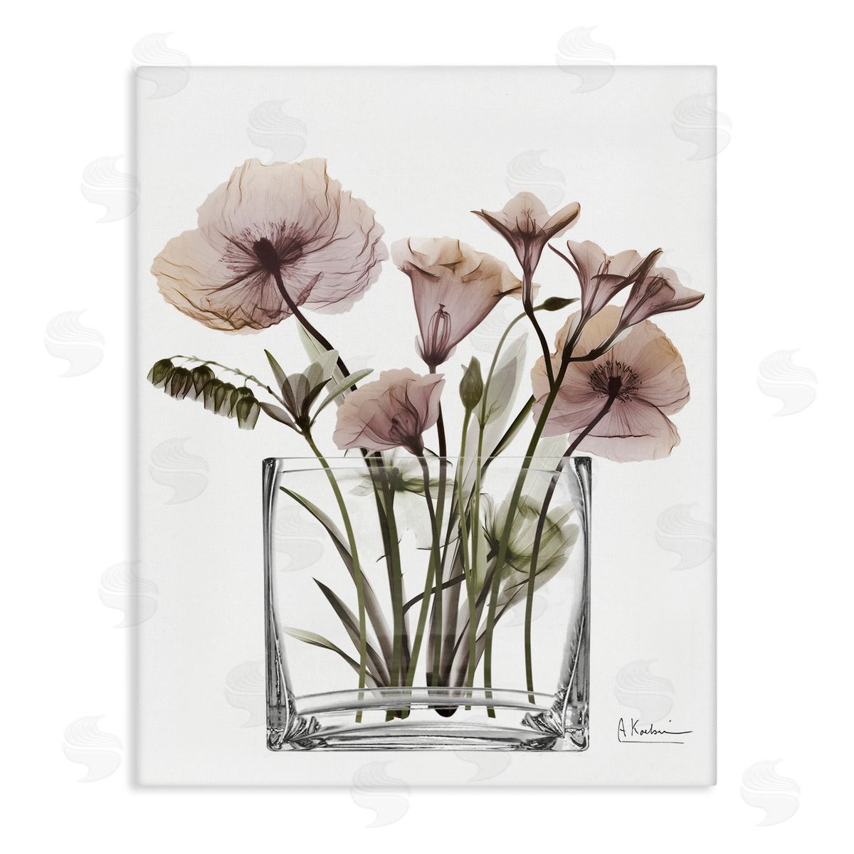 Modern Translucent Flowers Canvas Wall Art, Home Decor by Albert Koetsier