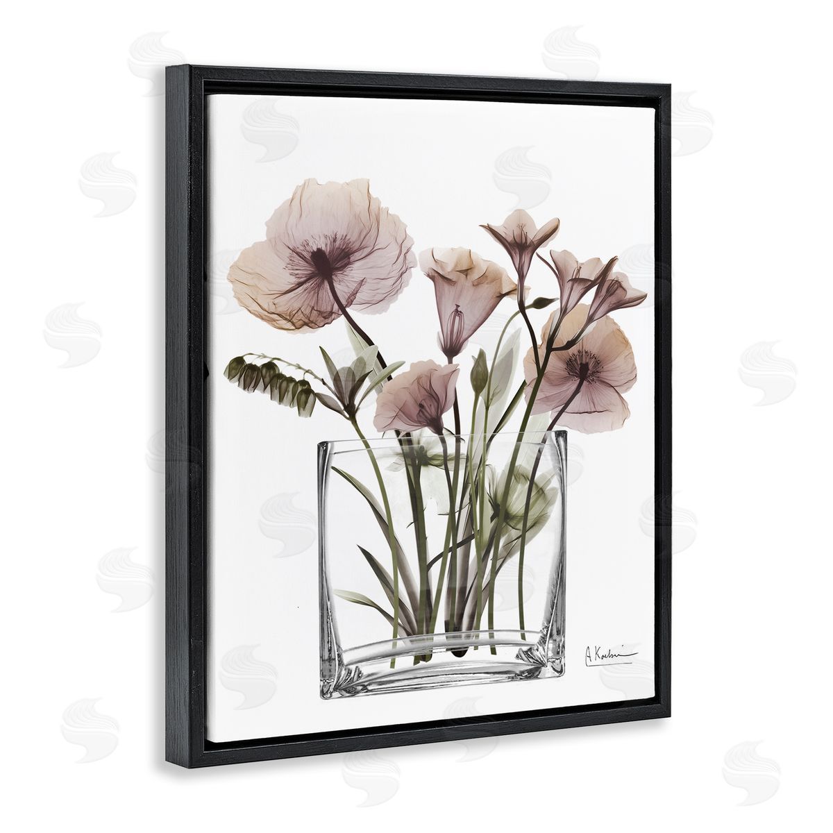 Modern Translucent Flowers Black Floating Frame Canvas Wall Art, Home Decor by Albert Koetsier