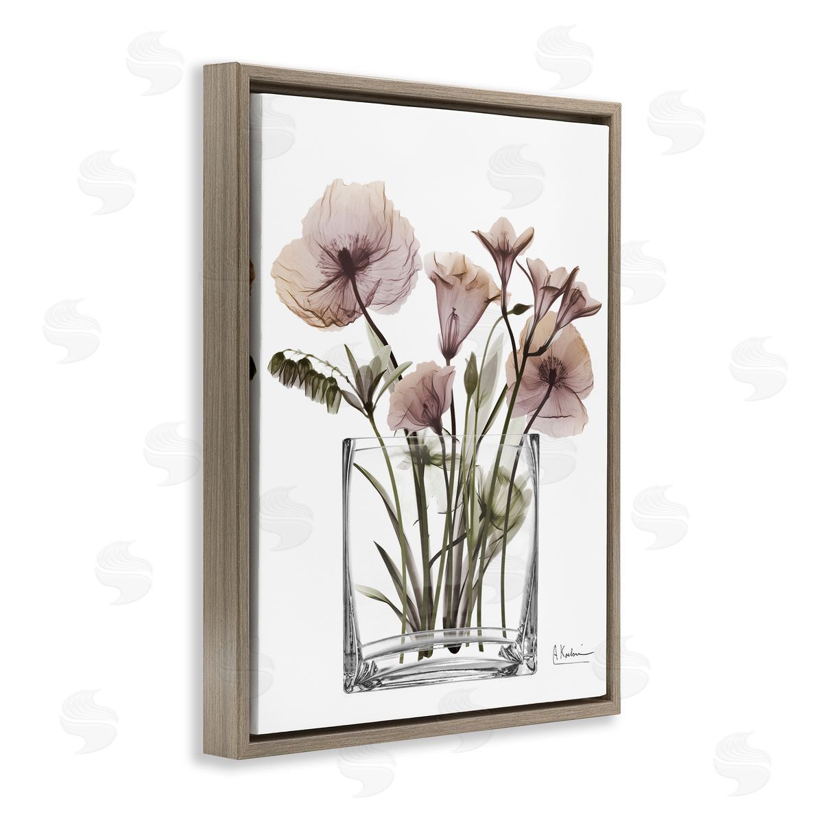 Modern Translucent Flowers Brown Floating Frame Canvas Wall Art, Home Decor by Albert Koetsier