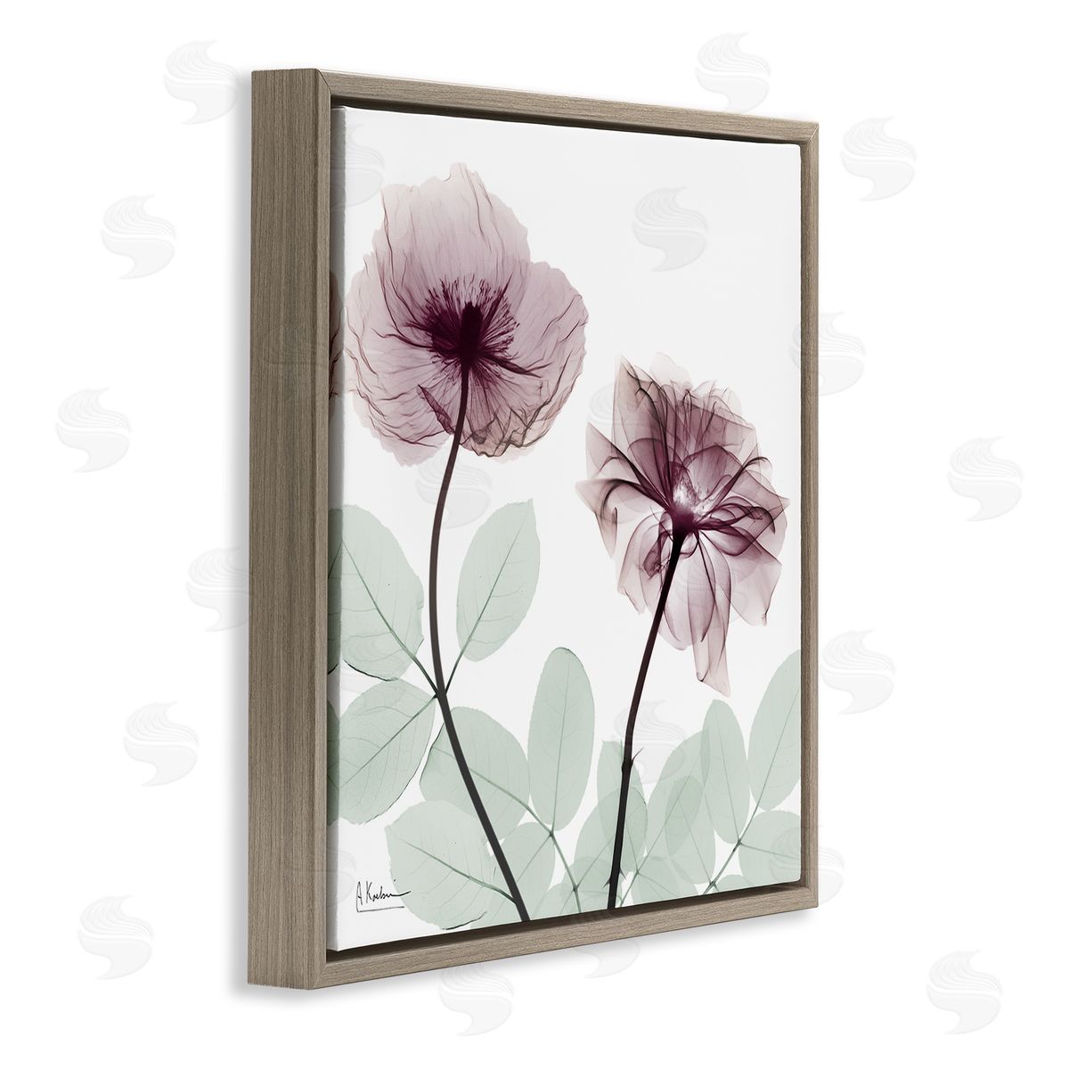 Delicate Floral Bunches Brown Floating Frame Canvas Wall Art, Home Decor by Albert Koetsier