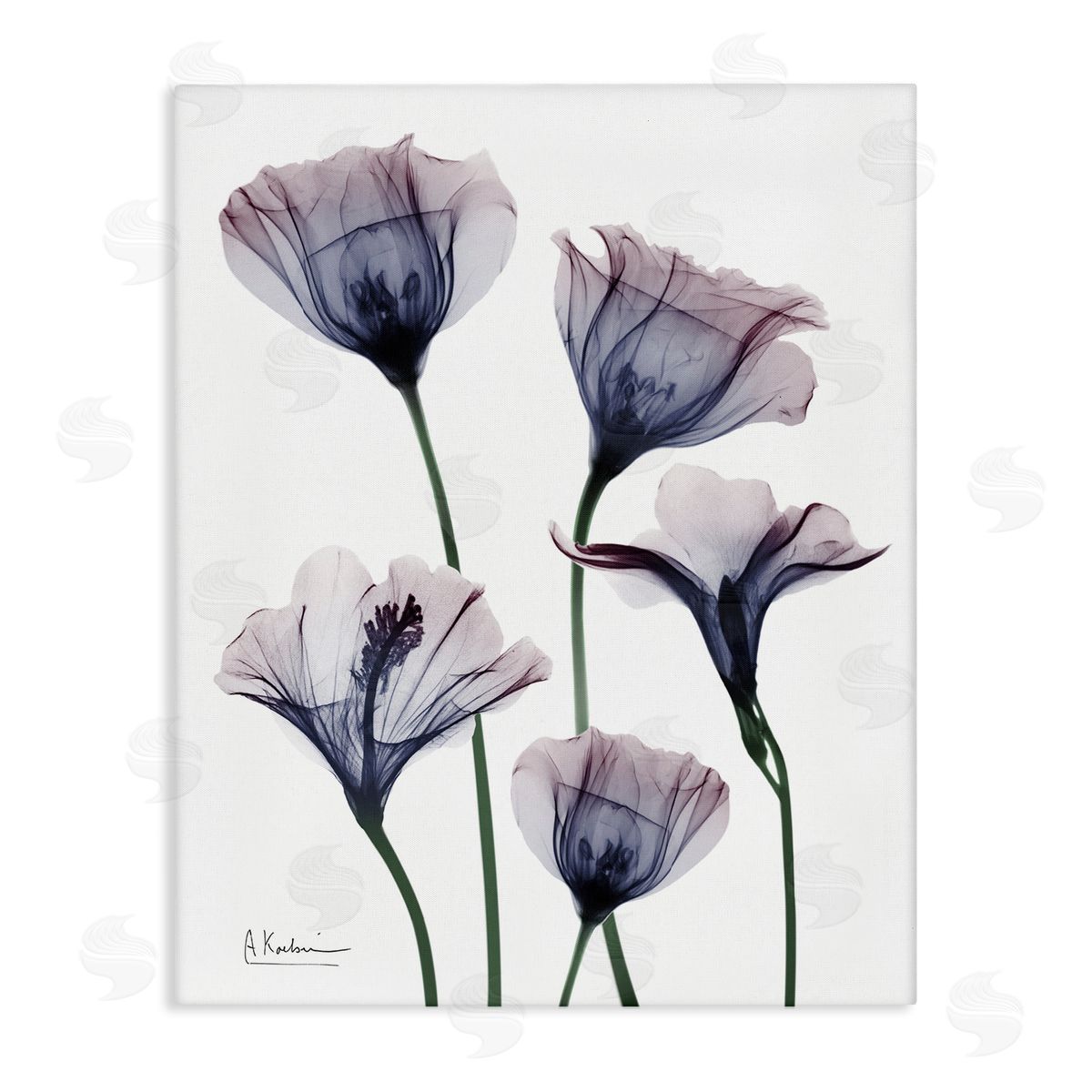 Subtle Fresh Flowers Canvas Wall Art, Home Decor by Albert Koetsier
