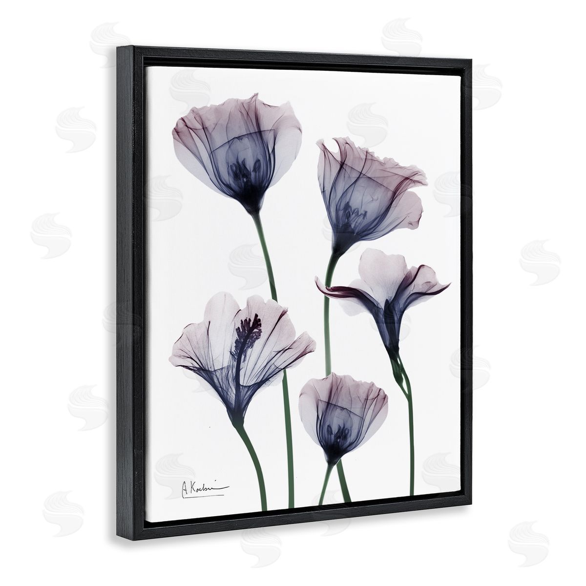 Subtle Fresh Flowers Black Floating Frame Canvas Wall Art, Home Decor by Albert Koetsier
