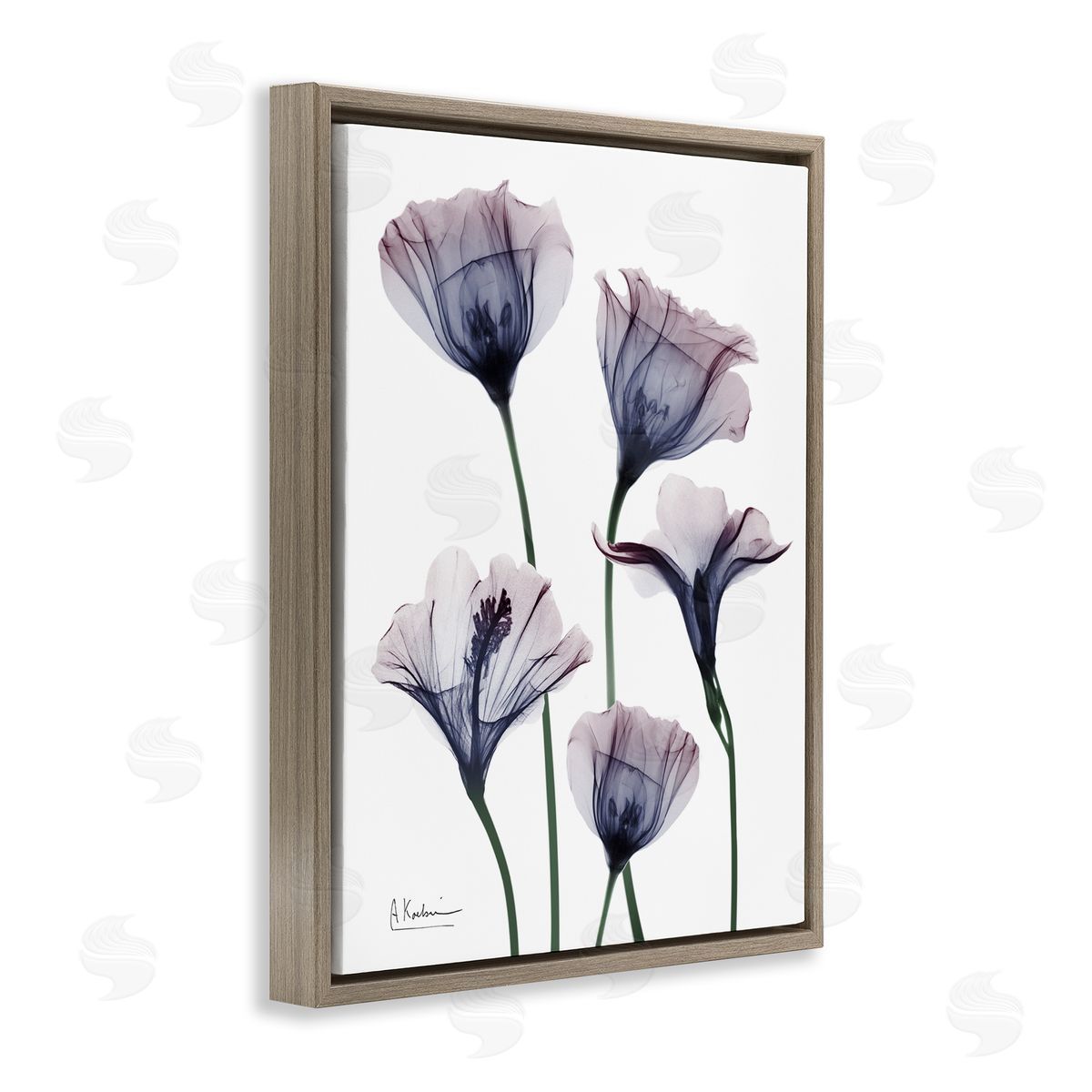 Subtle Fresh Flowers Brown Floating Frame Canvas Wall Art, Home Decor by Albert Koetsier