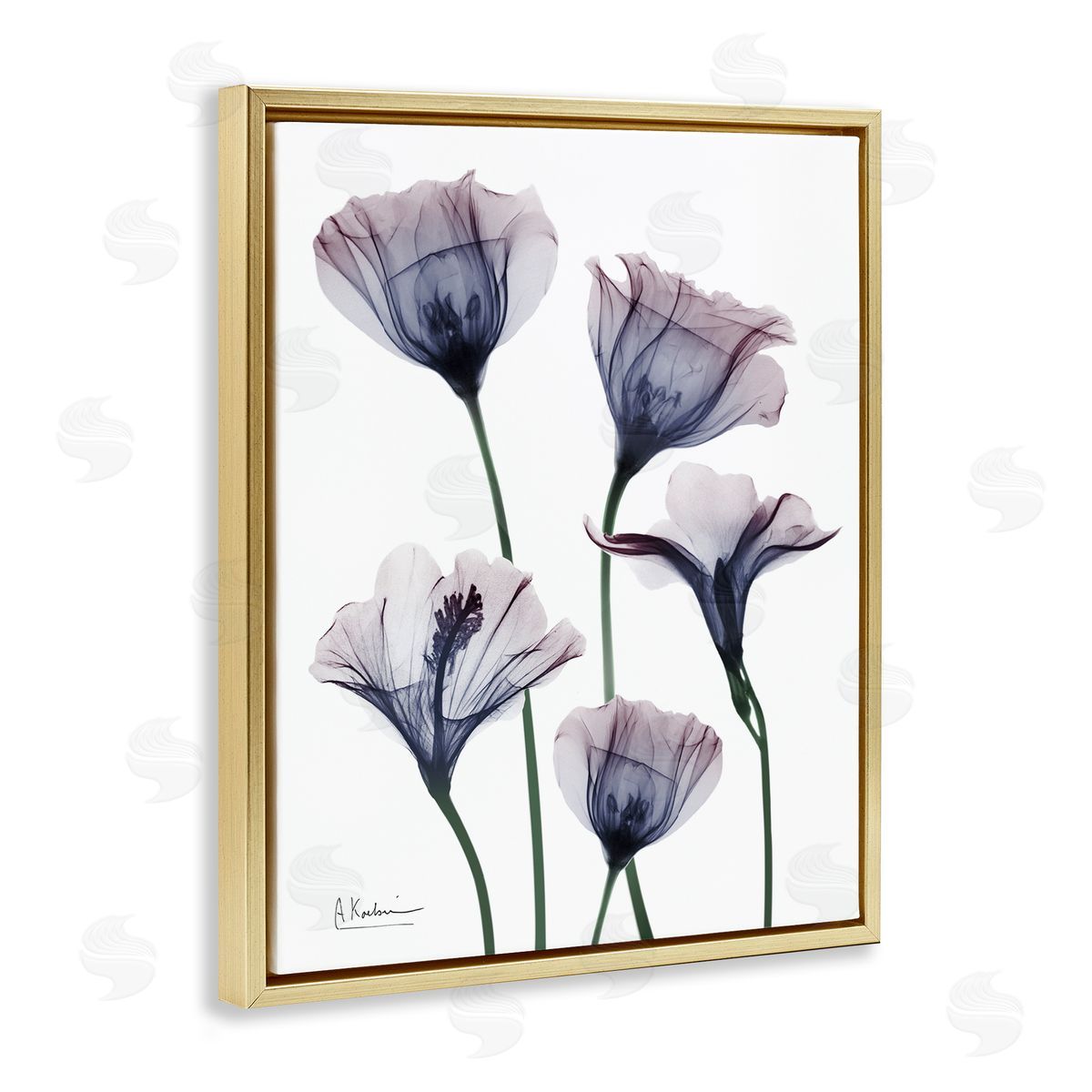 Subtle Fresh Flowers Gold Floating Frame Canvas Wall Art, Home Decor by Albert Koetsier