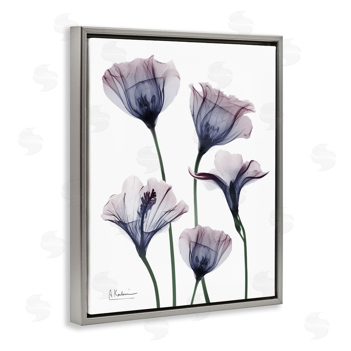 Subtle Fresh Flowers Grey Floating Frame Canvas Wall Art, Home Decor by Albert Koetsier