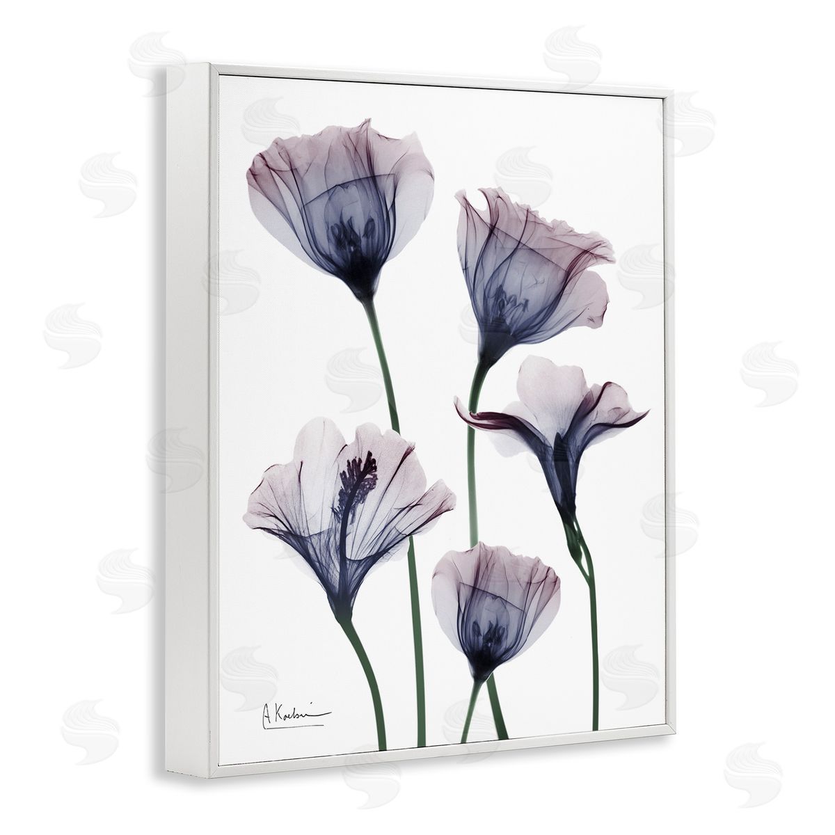 Subtle Fresh Flowers White Frame Print Wall Art, Home Decor by Albert Koetsier