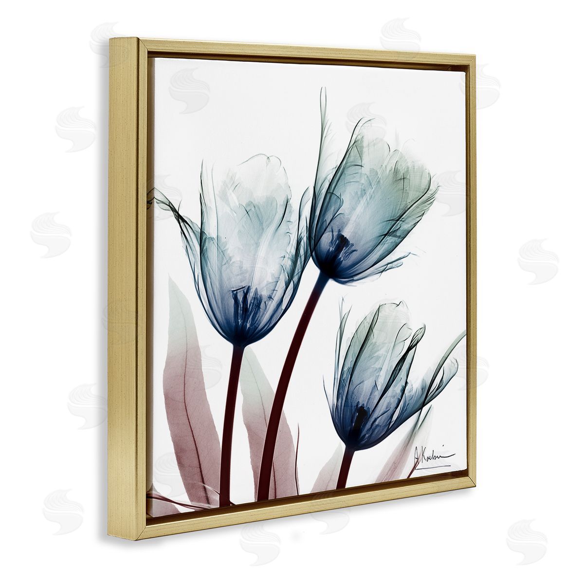 Translucent Tulip Bulbs Gold Floating Frame Canvas Wall Art, Home Decor by Albert Koetsier