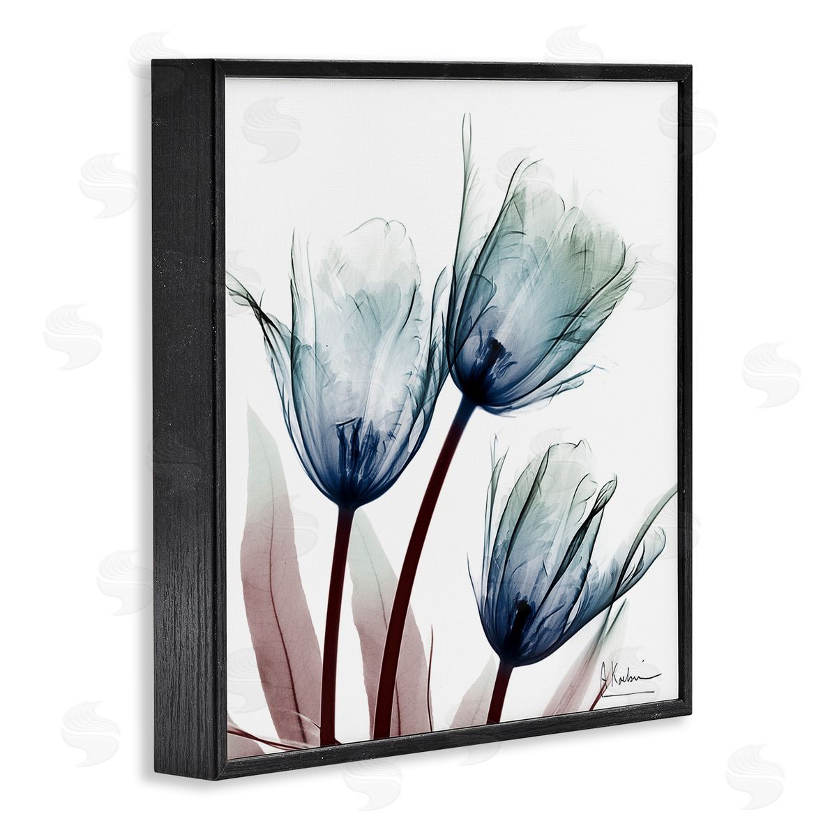 Translucent Tulip Bulbs Black Frame Print Wall Art, Home Decor by Albert Koetsier