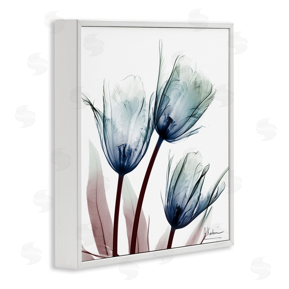 Translucent Tulip Bulbs White Frame Print Wall Art, Home Decor by Albert Koetsier