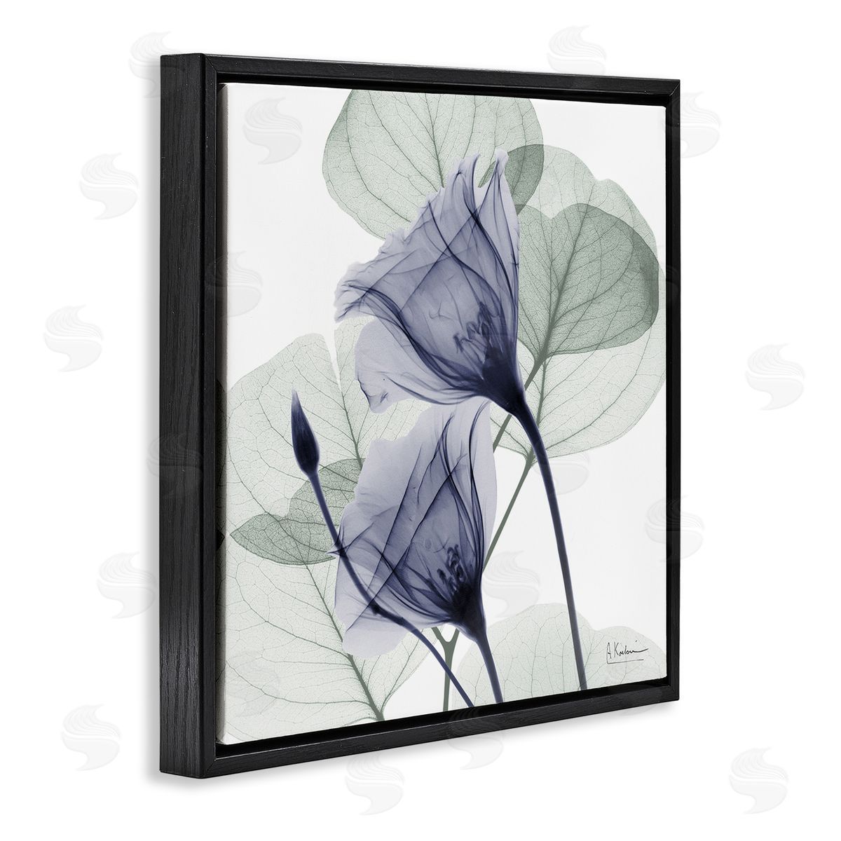 Serene Tulips & Herbs Black Floating Frame Canvas Wall Art, Home Decor by Albert Koetsier