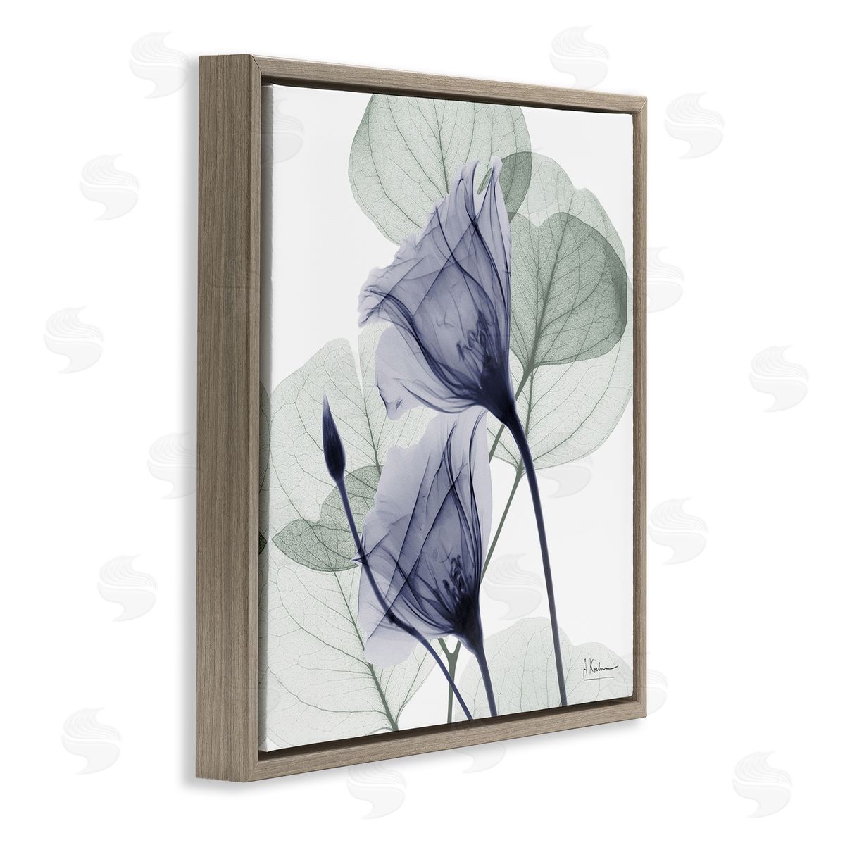 Serene Tulips & Herbs Brown Floating Frame Canvas Wall Art, Home Decor by Albert Koetsier
