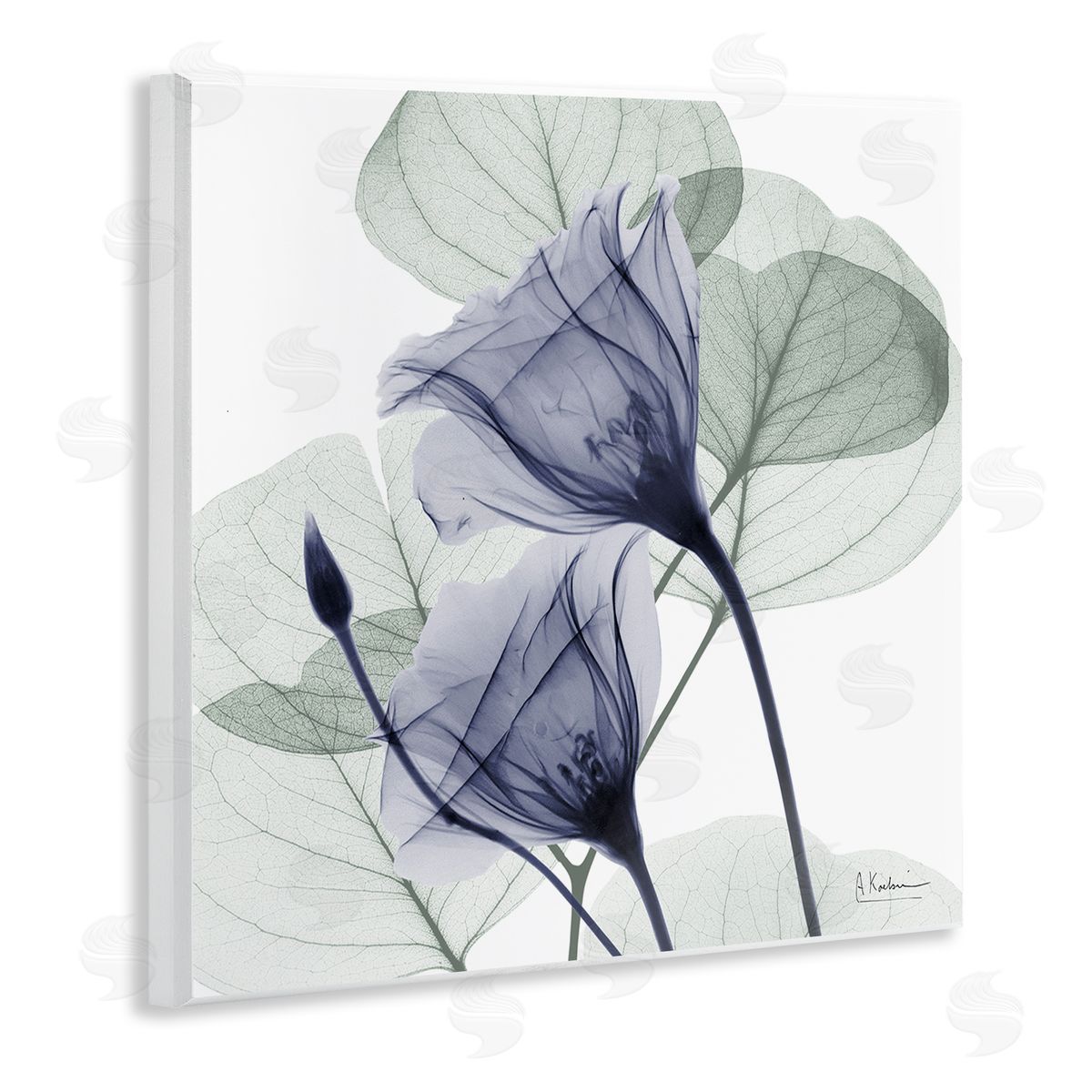 Serene Tulips & Herbs Wood Plaque Wall Art, Home Decor by Albert Koetsier