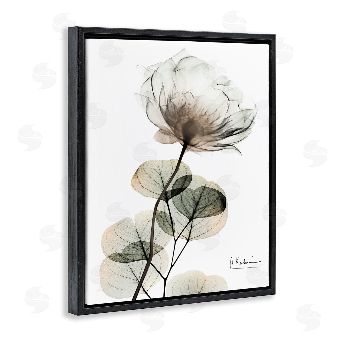 Simple Elegant White Flower Black Floating Frame Canvas Wall Art, Home Decor by Albert Koetsier