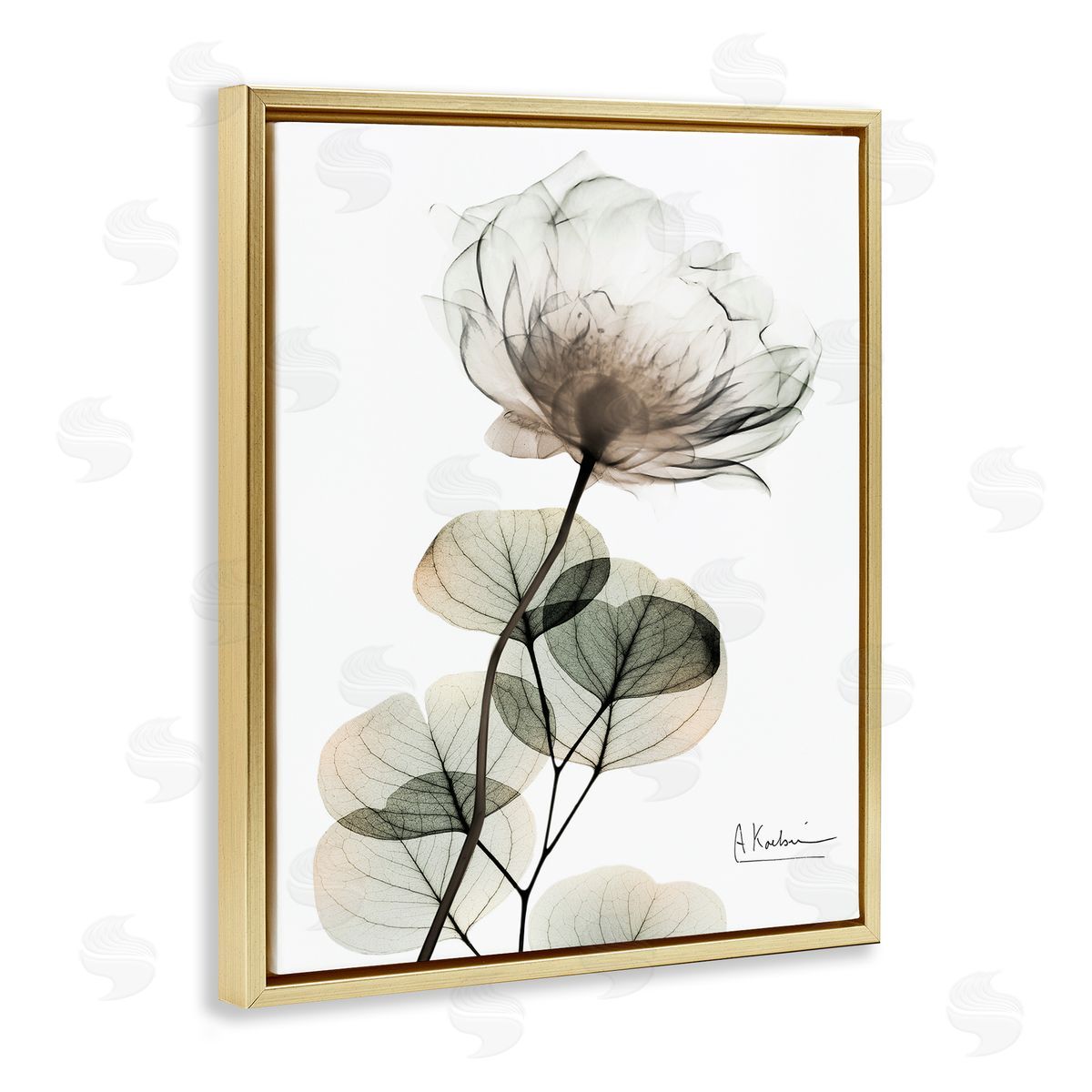 Simple Elegant White Flower Gold Floating Frame Canvas Wall Art, Home Decor by Albert Koetsier