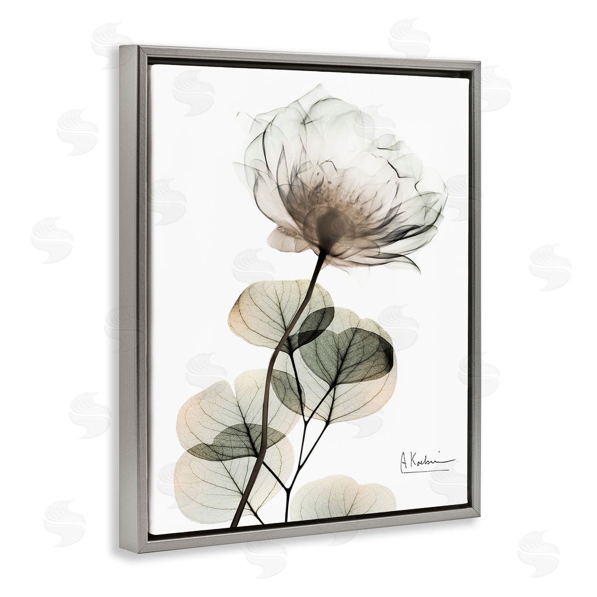 Simple Elegant White Flower Grey Floating Frame Canvas Wall Art, Home Decor by Albert Koetsier