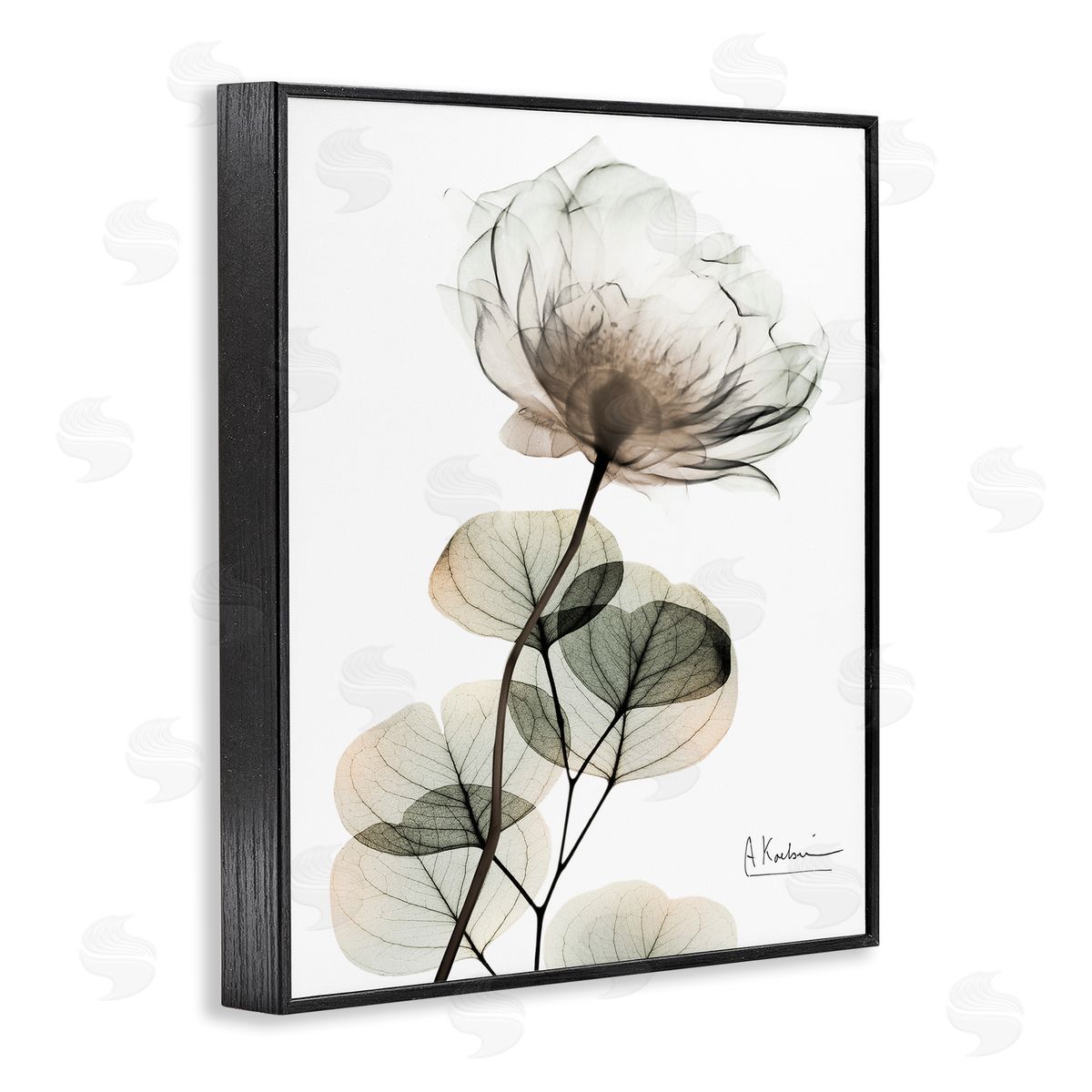 Simple Elegant White Flower Black Frame Print Wall Art, Home Decor by Albert Koetsier