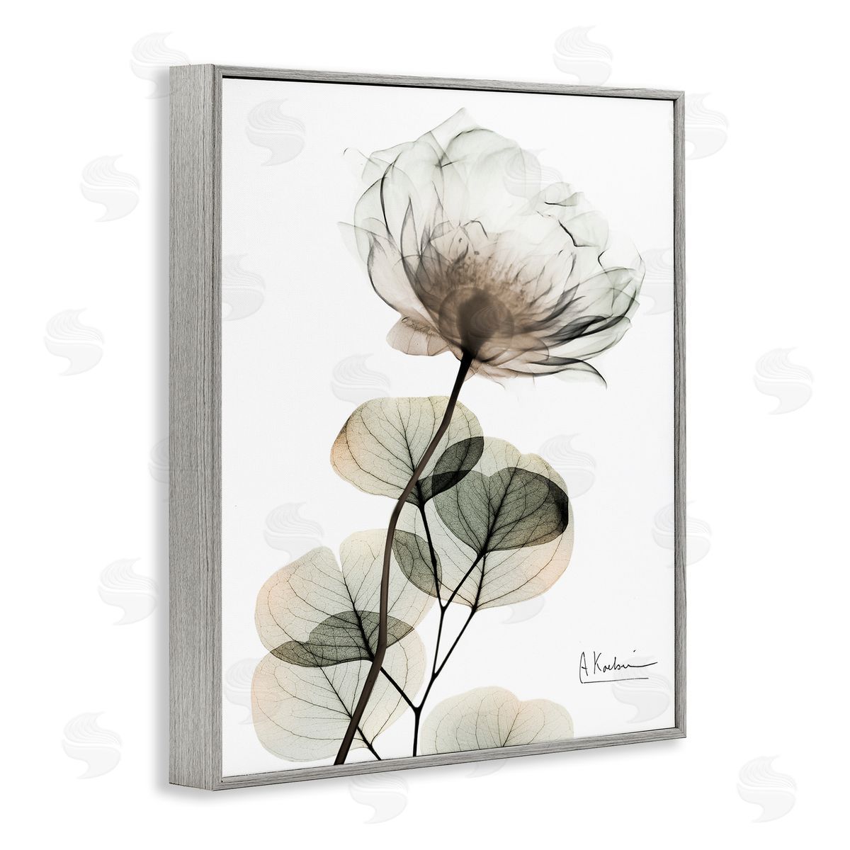 Simple Elegant White Flower Grey Frame Print Wall Art, Home Decor by Albert Koetsier