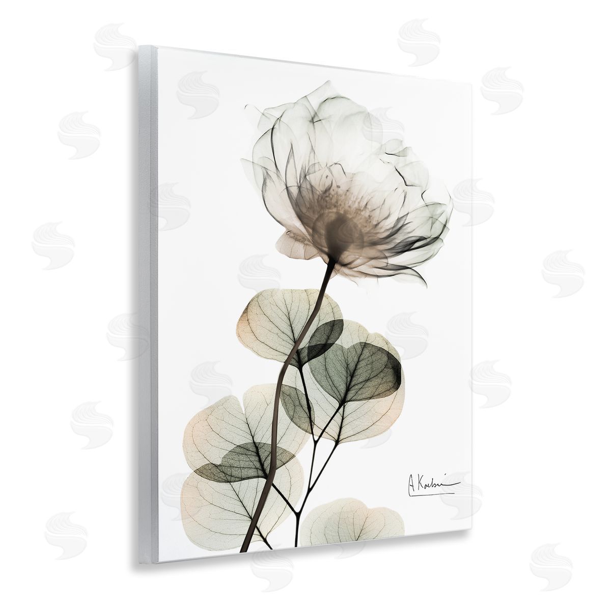 Simple Elegant White Flower Wood Plaque Wall Art, Home Decor by Albert Koetsier