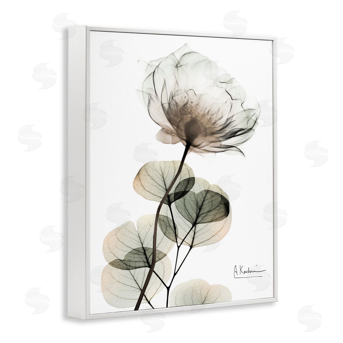 Simple Elegant White Flower White Frame Print Wall Art, Home Decor by Albert Koetsier
