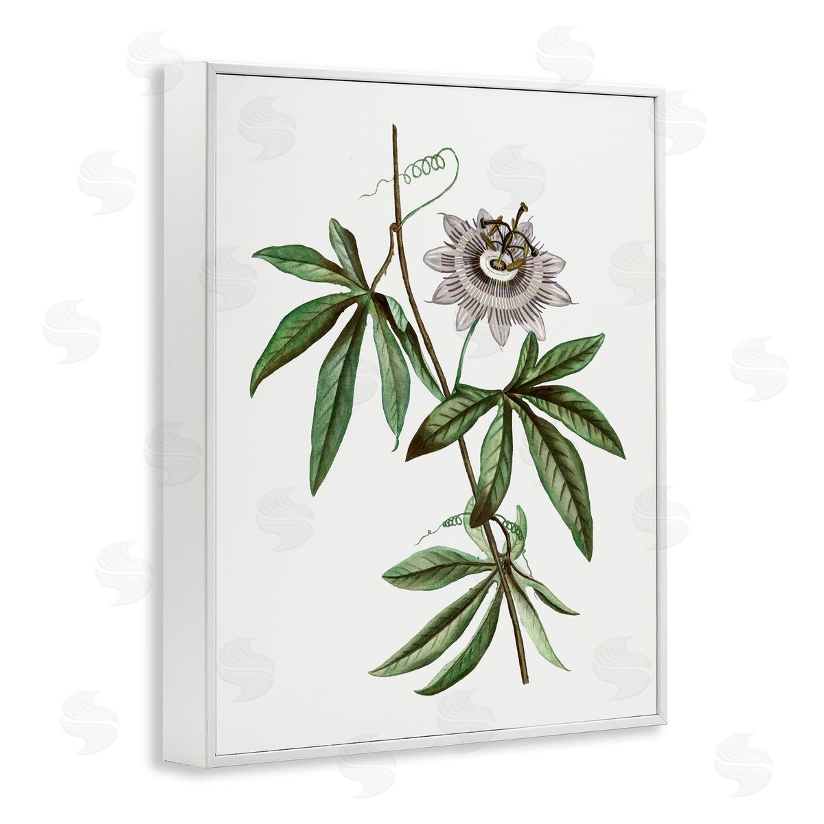 Vintage Circular Bloom White Frame Print Wall Art, Home Decor by CAD Designs
