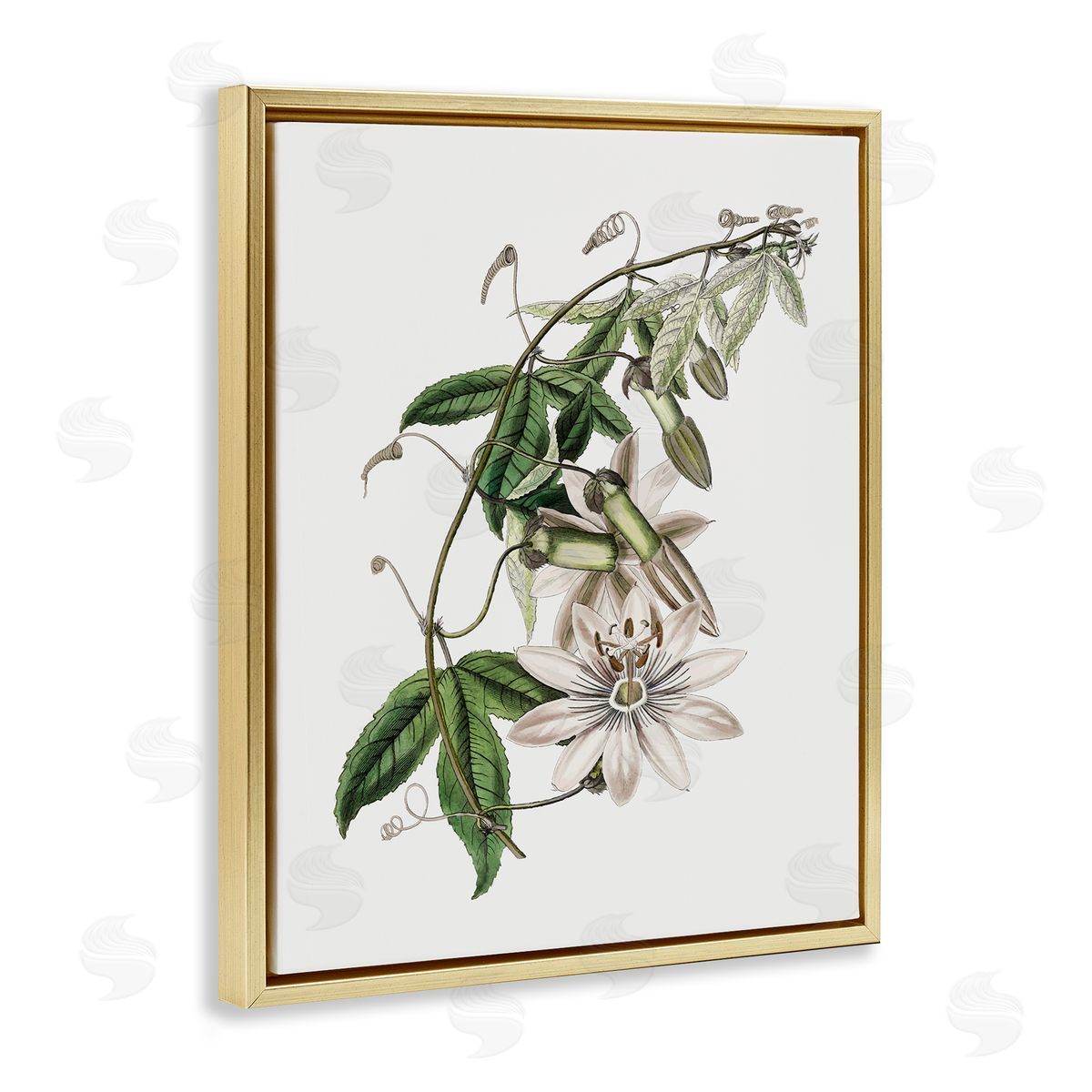 Vintage Lily Plant Gold Floating Frame Canvas Wall Art, Home Decor by CAD Designs