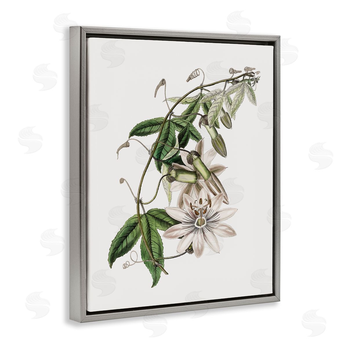 Vintage Lily Plant Grey Floating Frame Canvas Wall Art, Home Decor by CAD Designs