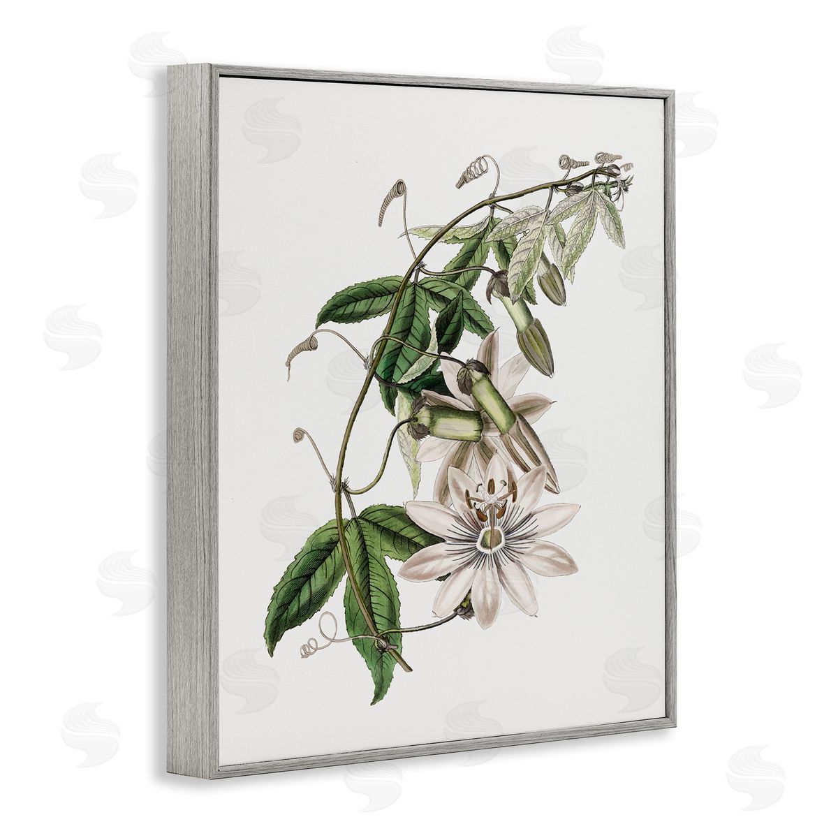 Vintage Lily Plant Grey Frame Print Wall Art, Home Decor by CAD Designs