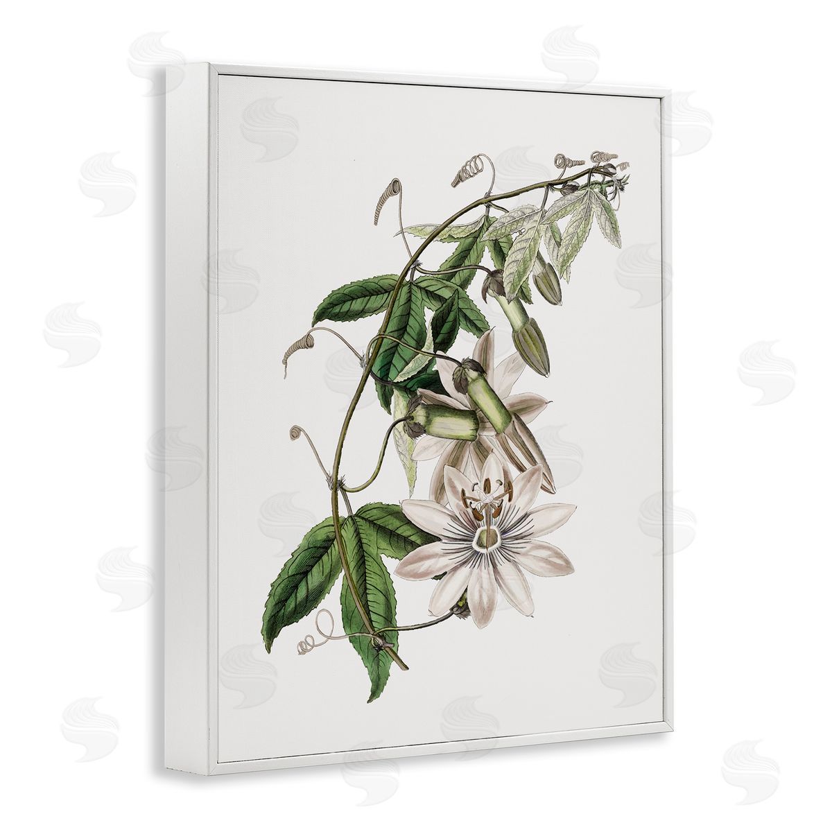 Vintage Lily Plant White Frame Print Wall Art, Home Decor by CAD Designs
