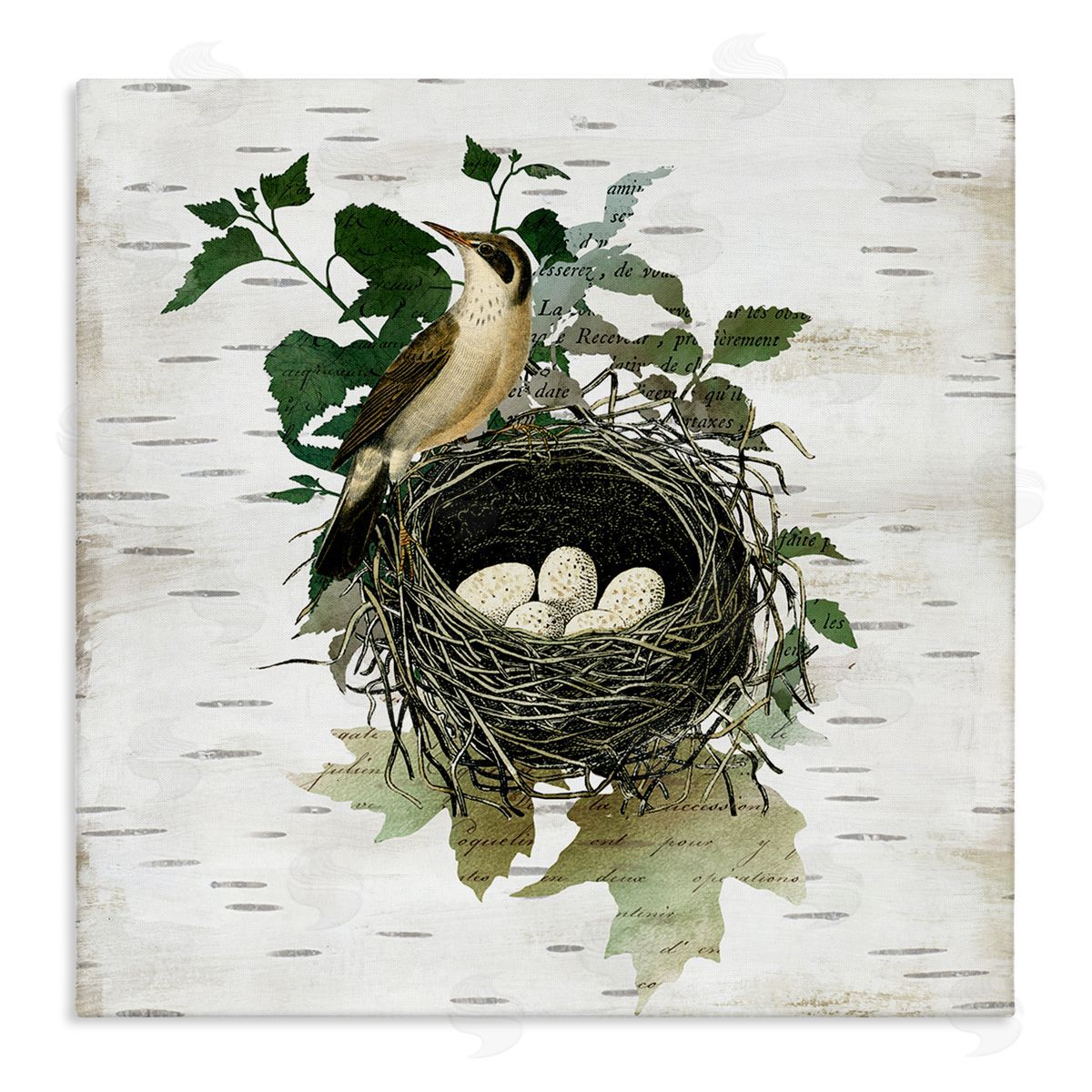 Vintage Bird Nest & Flora Canvas Wall Art, Home Decor by Susan Arnot