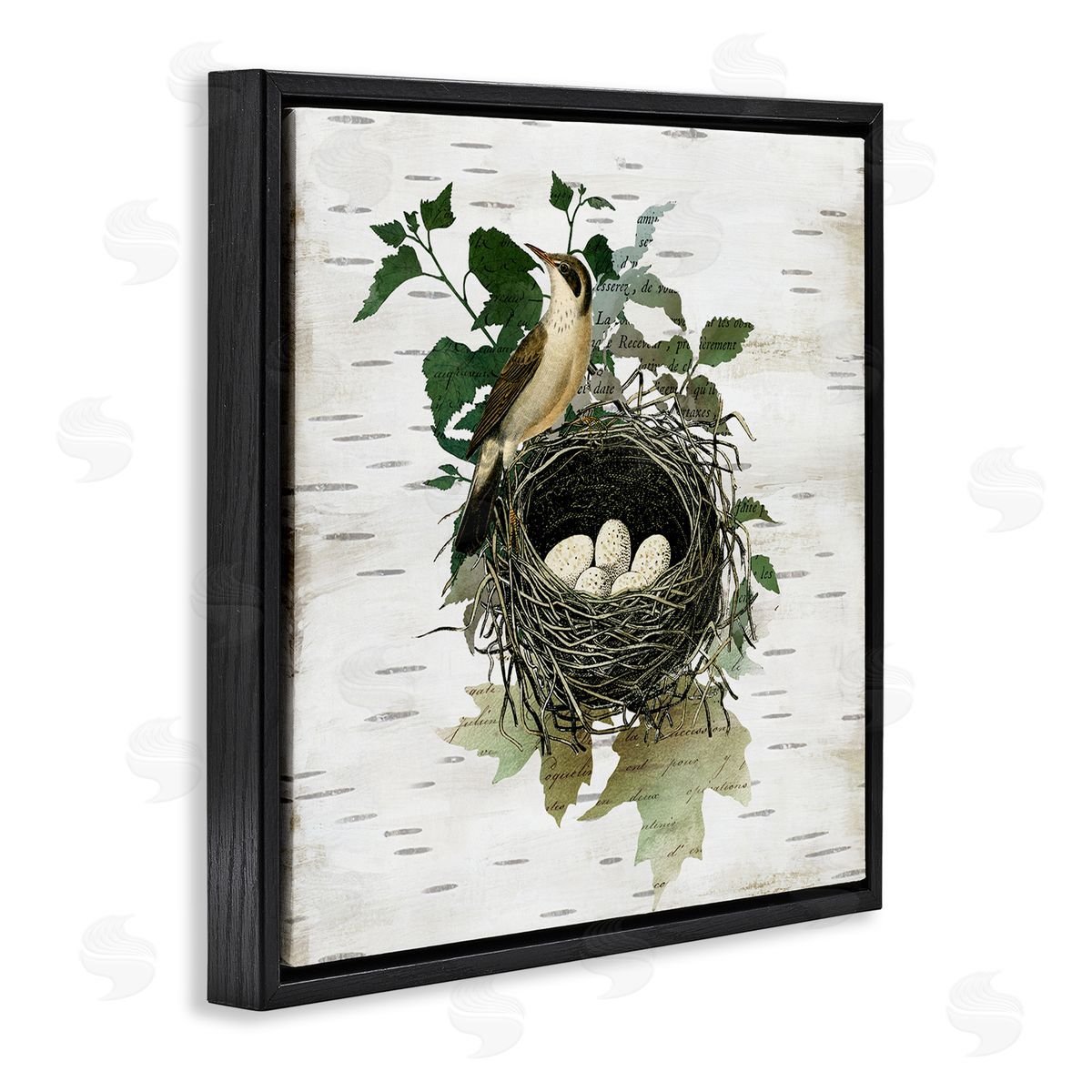 Vintage Bird Nest & Flora Black Floating Frame Canvas Wall Art, Home Decor by Susan Arnot