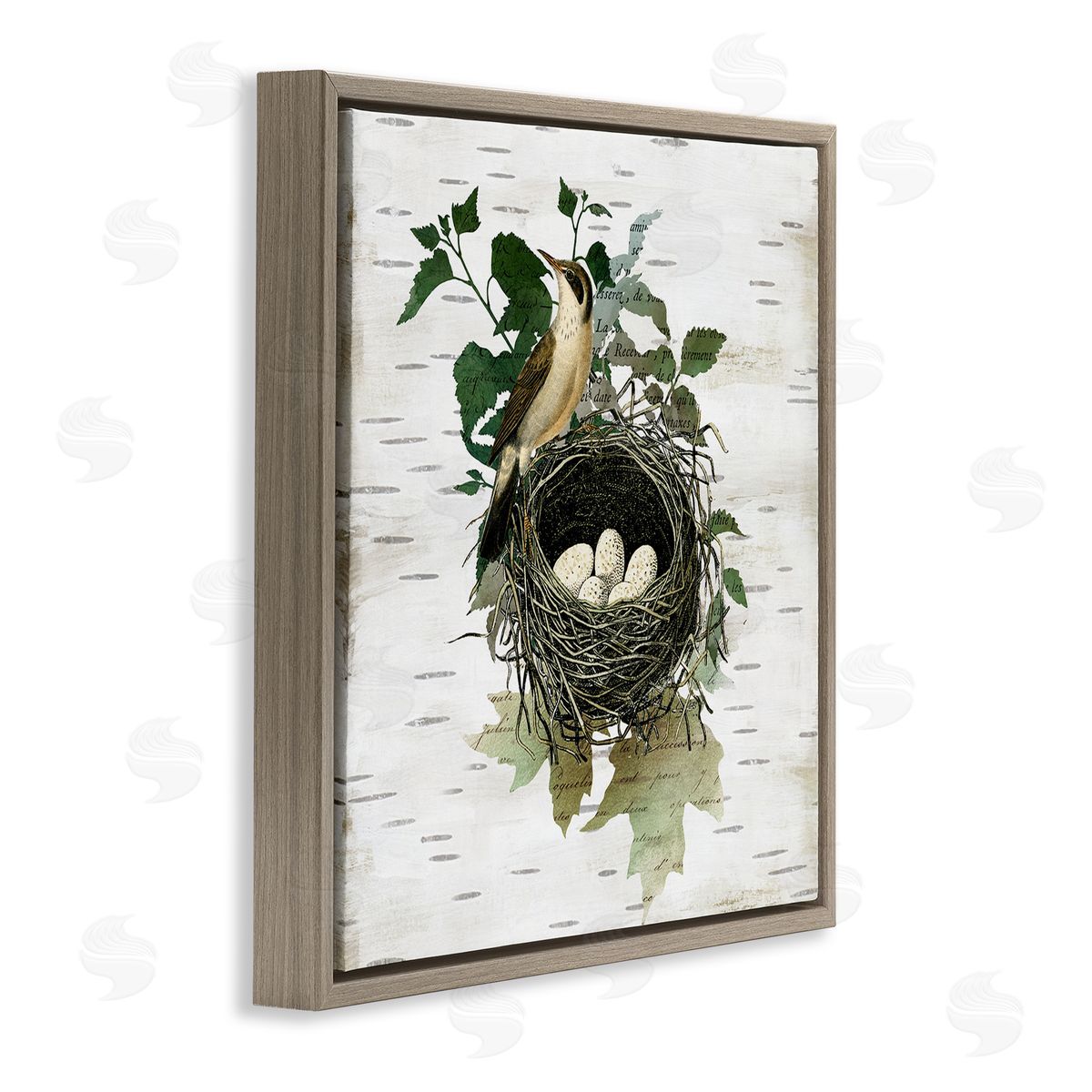 Vintage Bird Nest & Flora Brown Floating Frame Canvas Wall Art, Home Decor by Susan Arnot