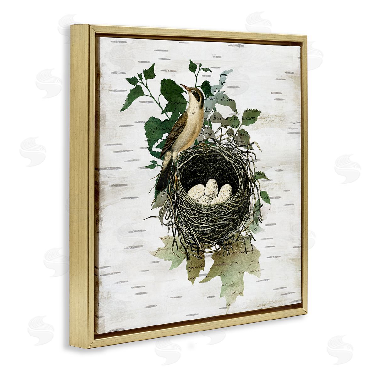 Vintage Bird Nest & Flora Gold Floating Frame Canvas Wall Art, Home Decor by Susan Arnot