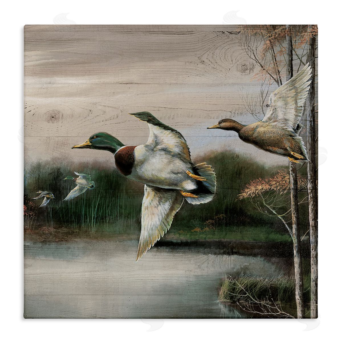 Flying Ducks in Rustic Nature Canvas Wall Art, Home Decor by Ruane Manning
