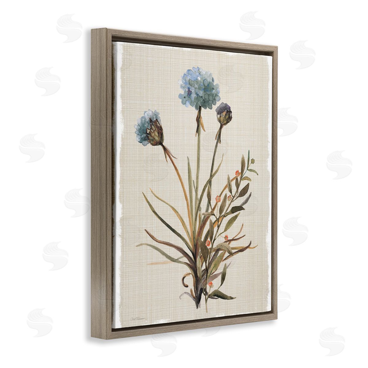 Natural Hydrangea Buds Brown Floating Frame Canvas Wall Art, Home Decor by Carol Robinson