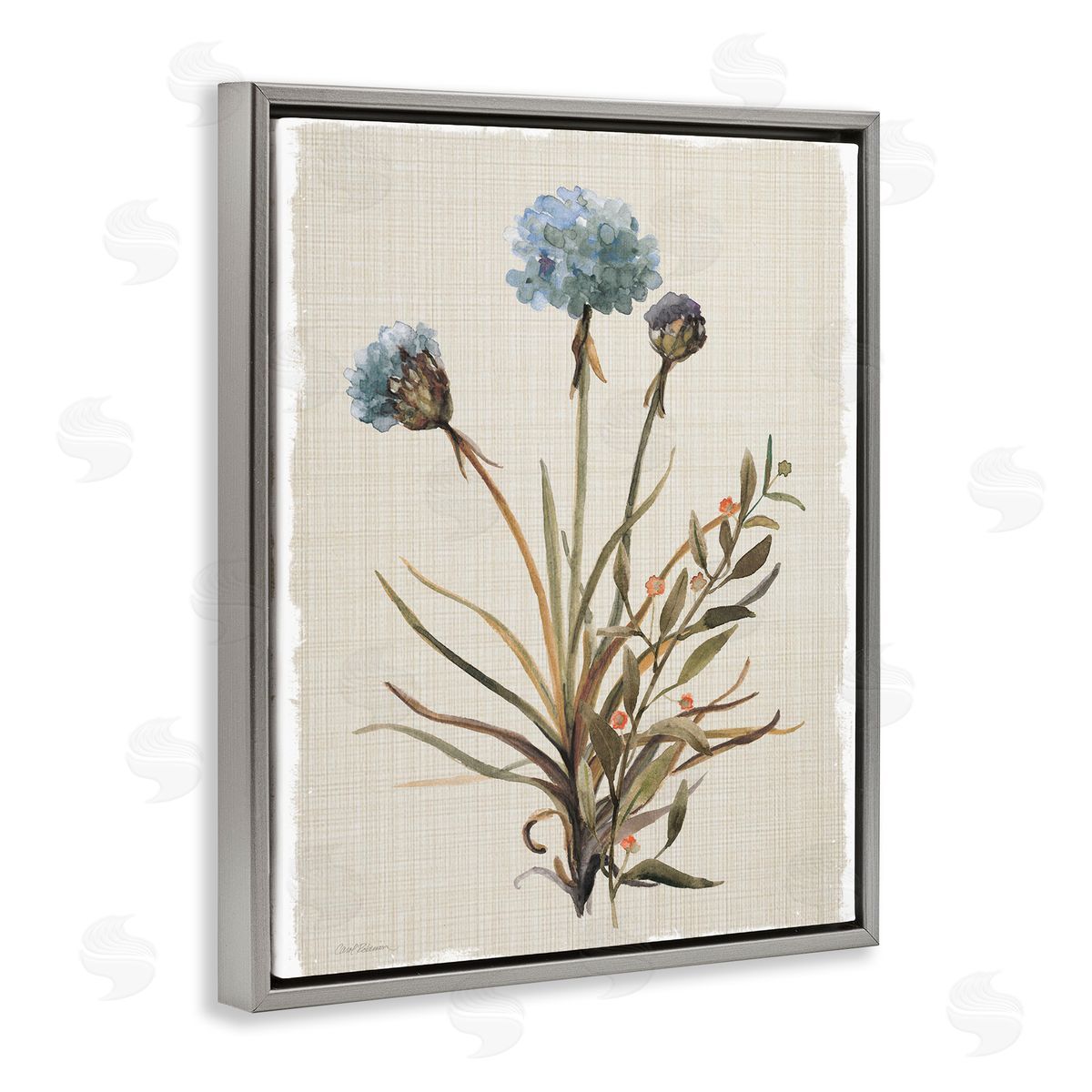 Natural Hydrangea Buds Grey Floating Frame Canvas Wall Art, Home Decor by Carol Robinson