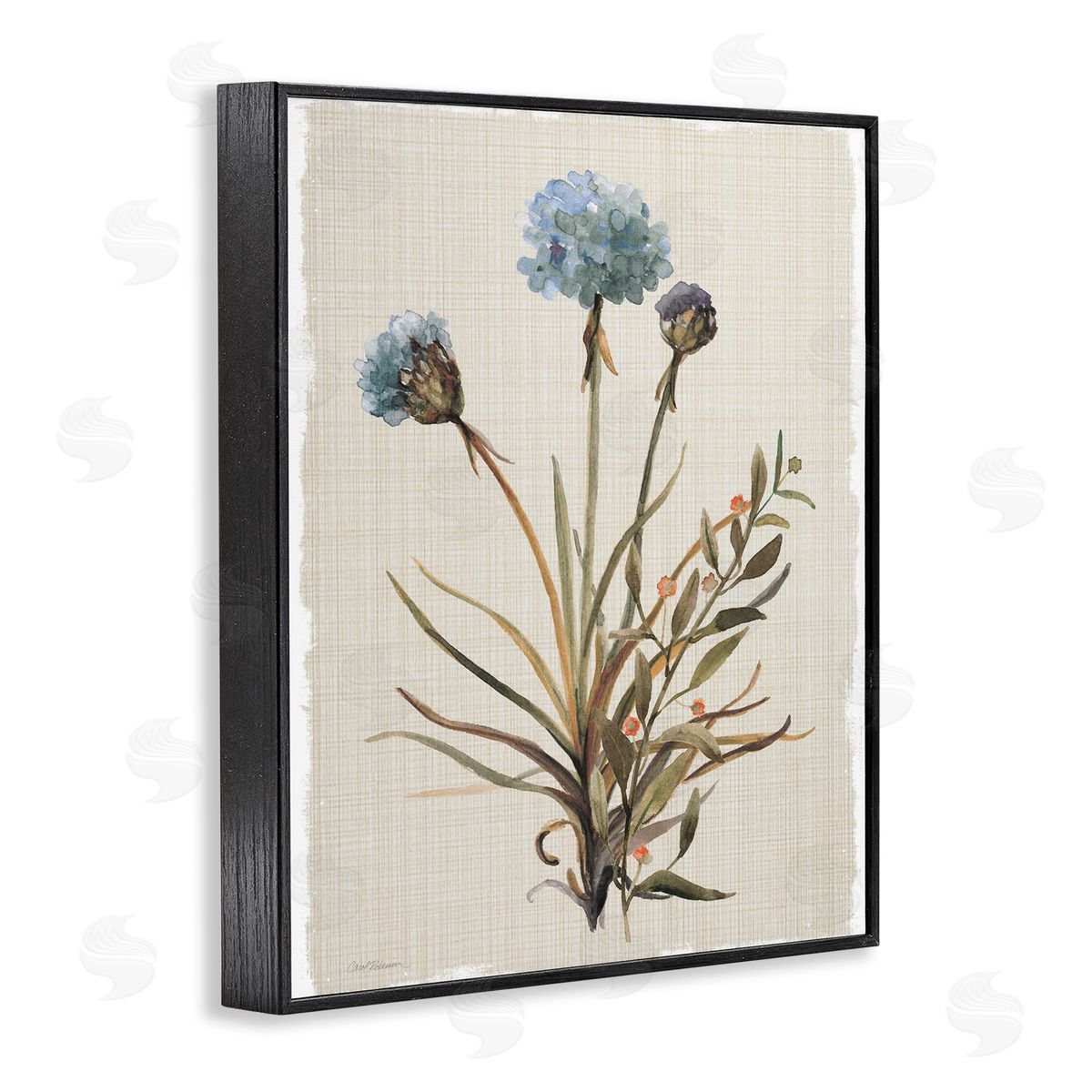 Natural Hydrangea Buds Black Frame Print Wall Art, Home Decor by Carol Robinson