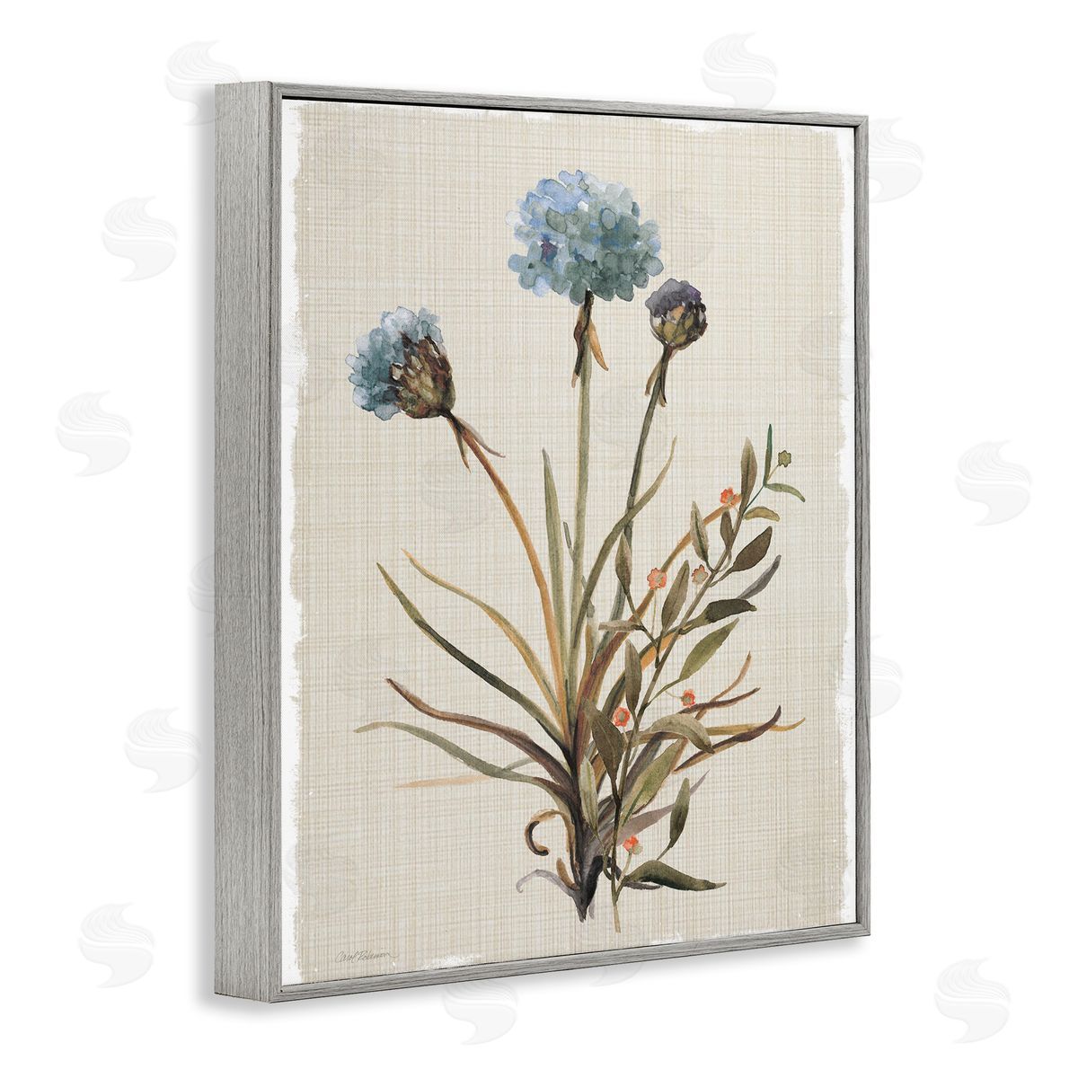 Natural Hydrangea Buds Grey Frame Print Wall Art, Home Decor by Carol Robinson