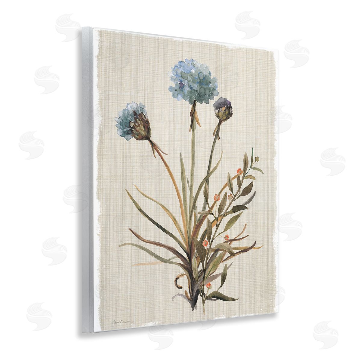 Natural Hydrangea Buds Wood Plaque Wall Art, Home Decor by Carol Robinson